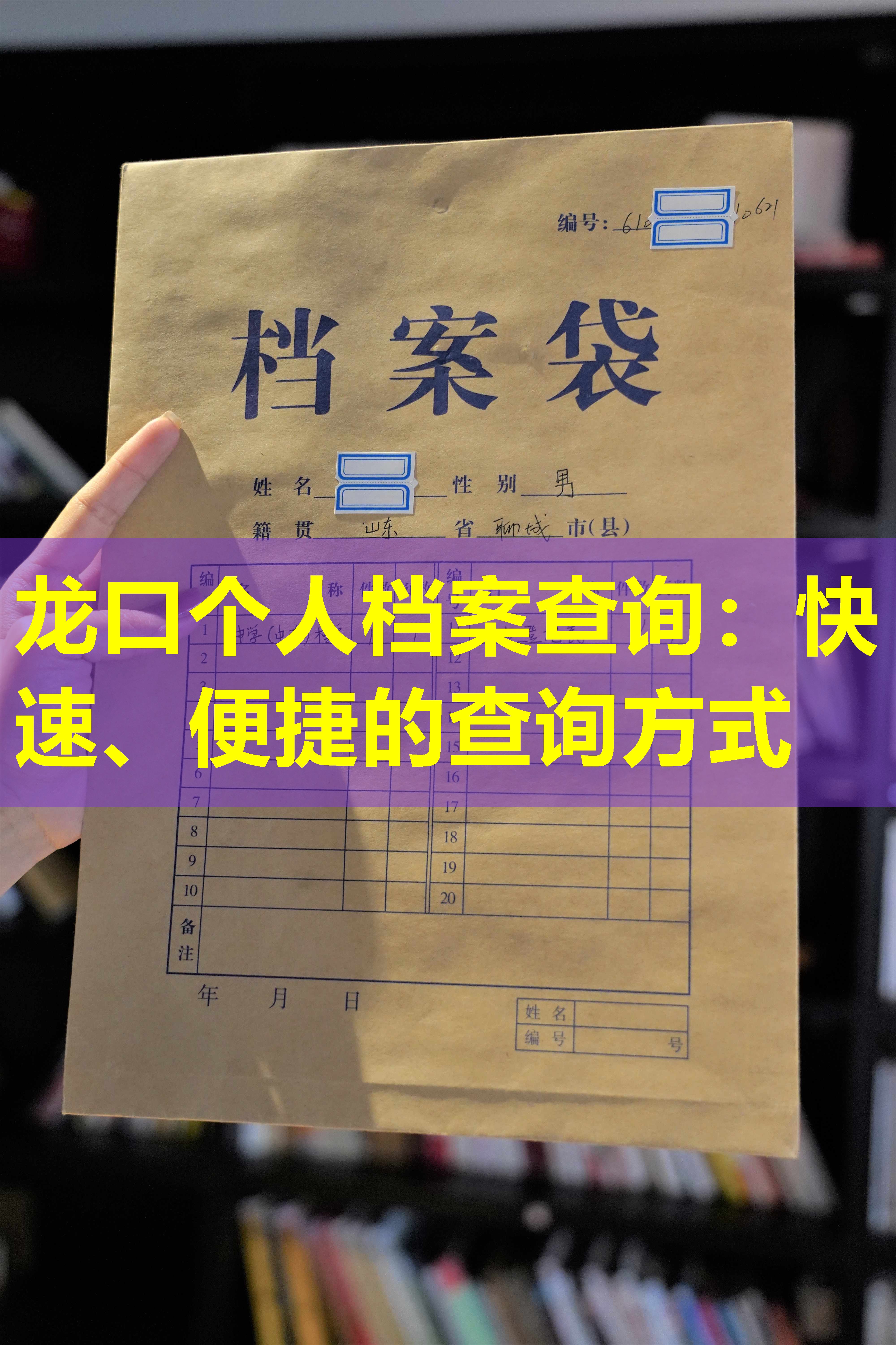 龙口个人档案查询：快速、便捷的查询方式