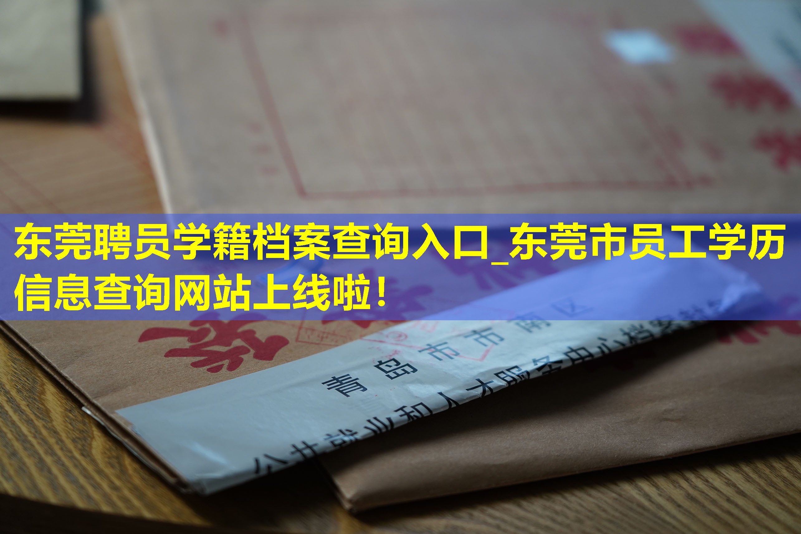东莞聘员学籍档案查询入口_东莞市员工学历信息查询网站上线啦！