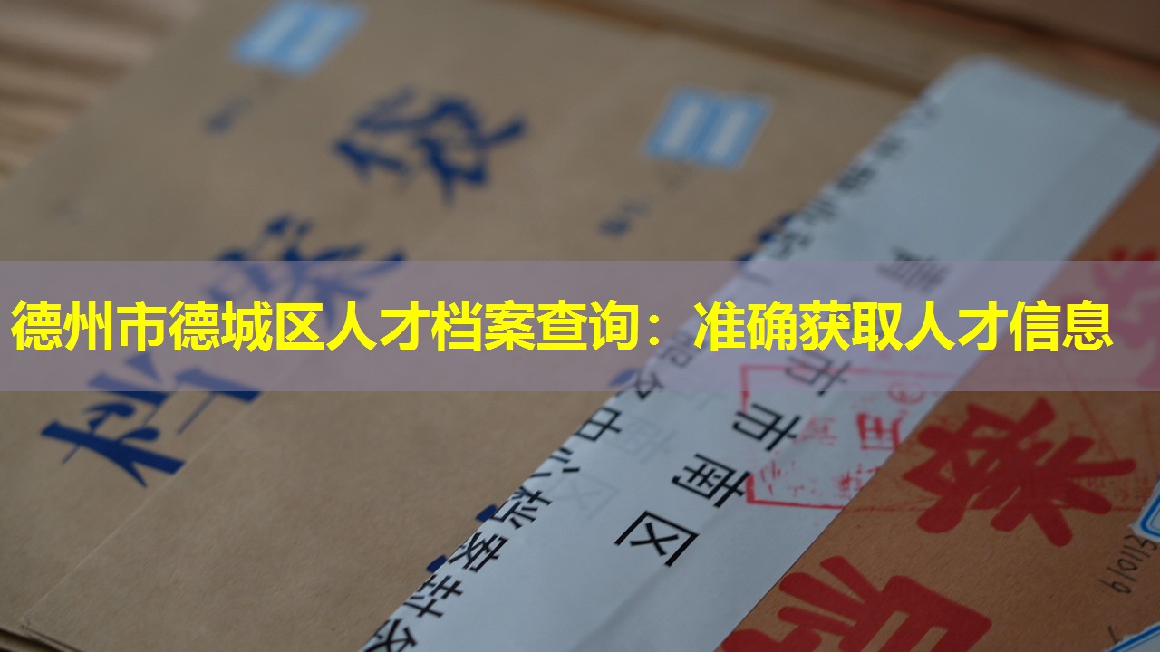 德州市德城区人才档案查询：准确获取人才信息