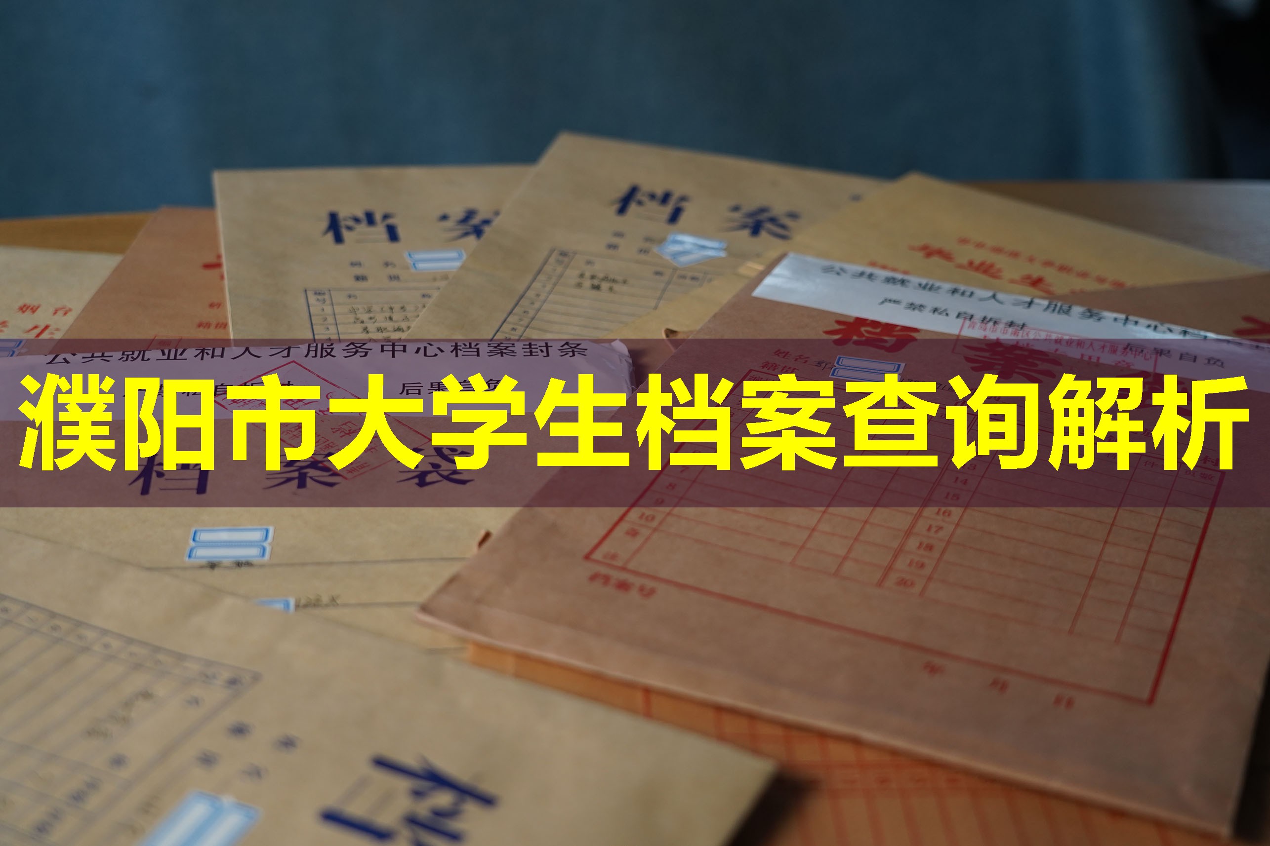 濮阳市大学生档案查询解析