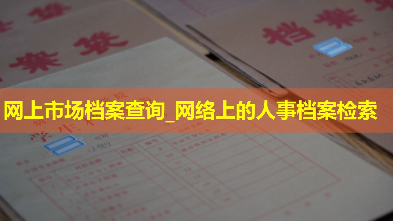 网上市场档案查询_网络上的人事档案检索