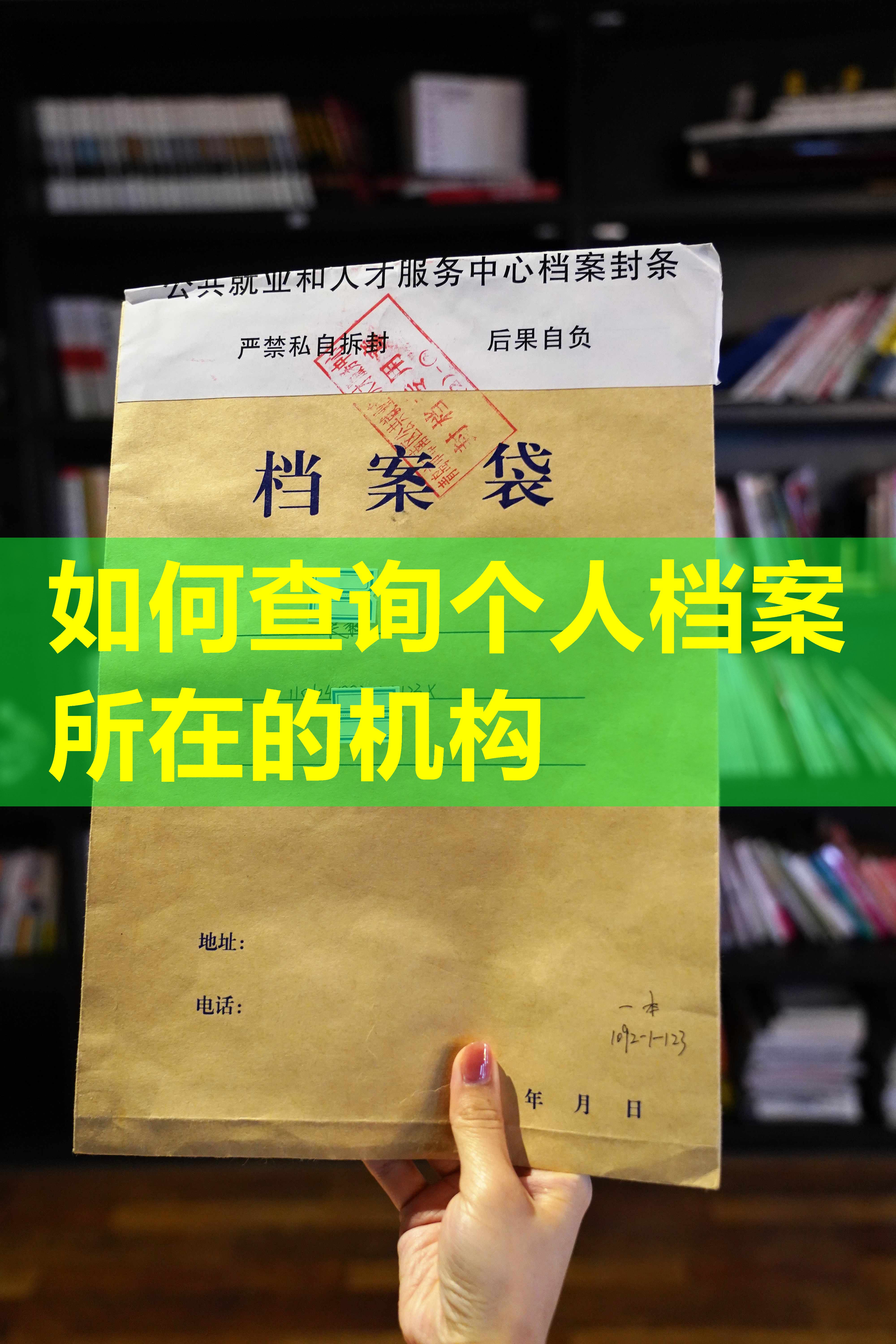 如何查询个人档案所在的机构