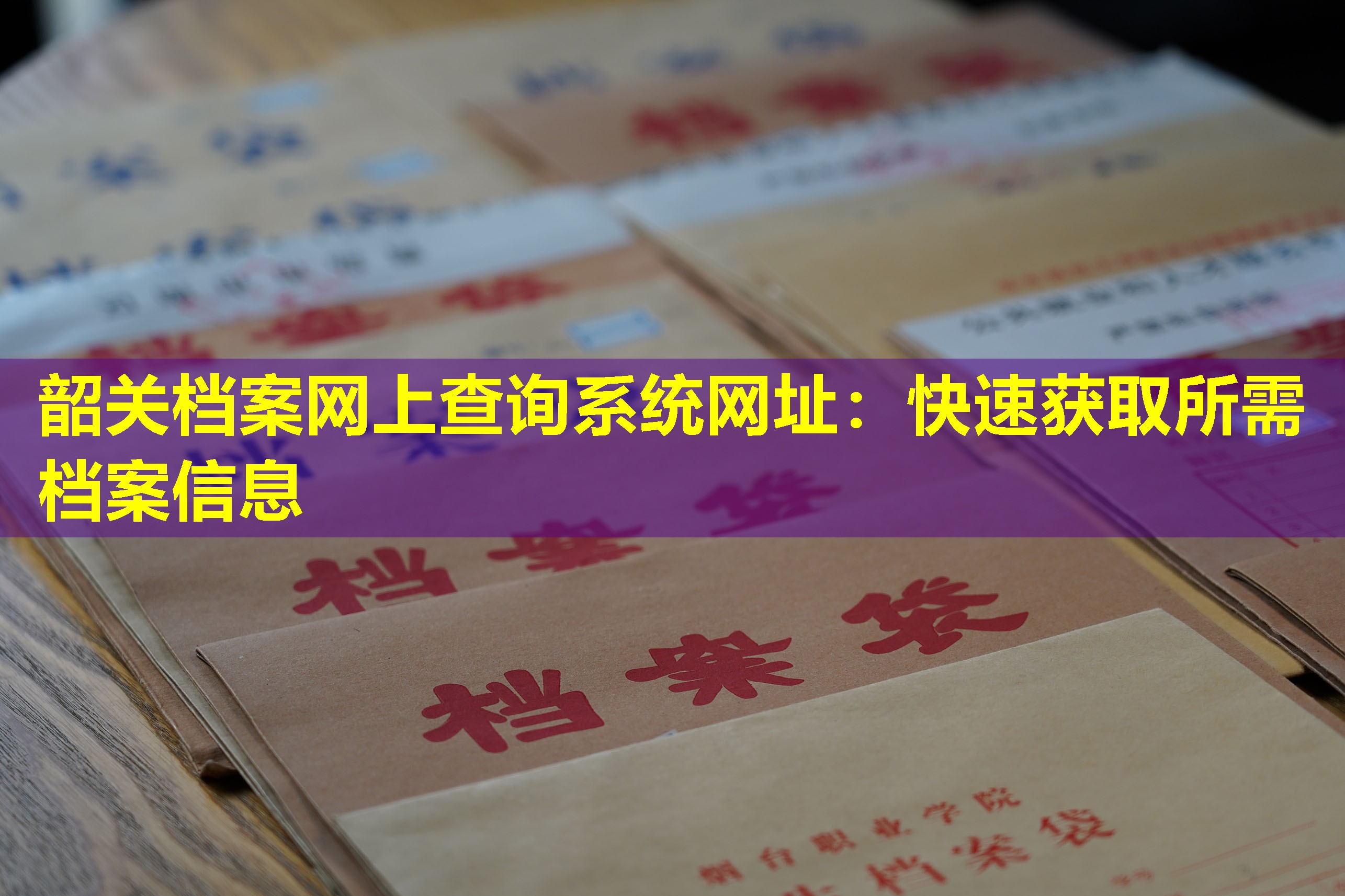 韶关档案网上查询系统网址：快速获取所需档案信息