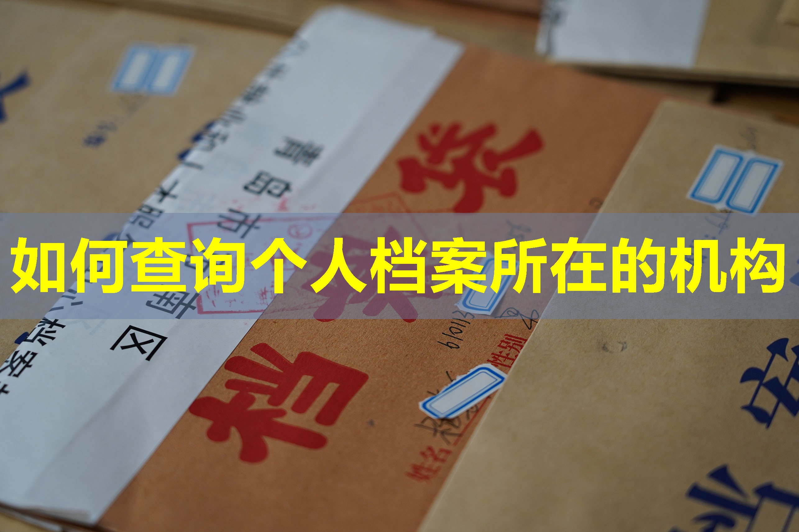 如何查询个人档案所在的机构