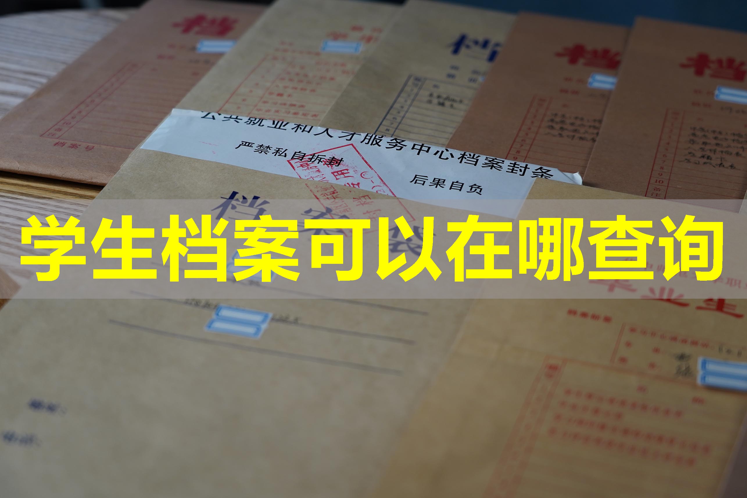 学生档案可以在哪查询