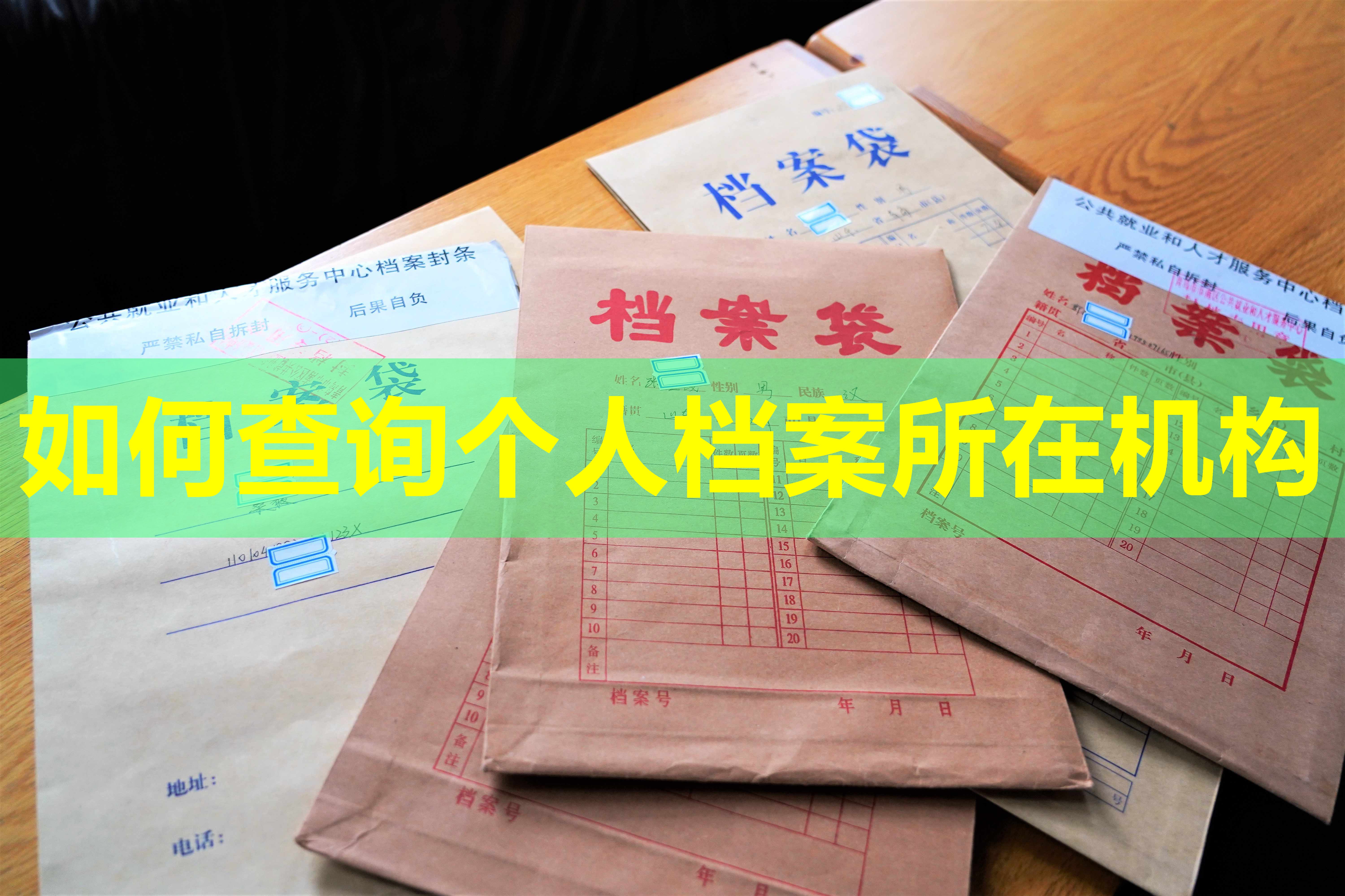 如何查询个人档案所在机构