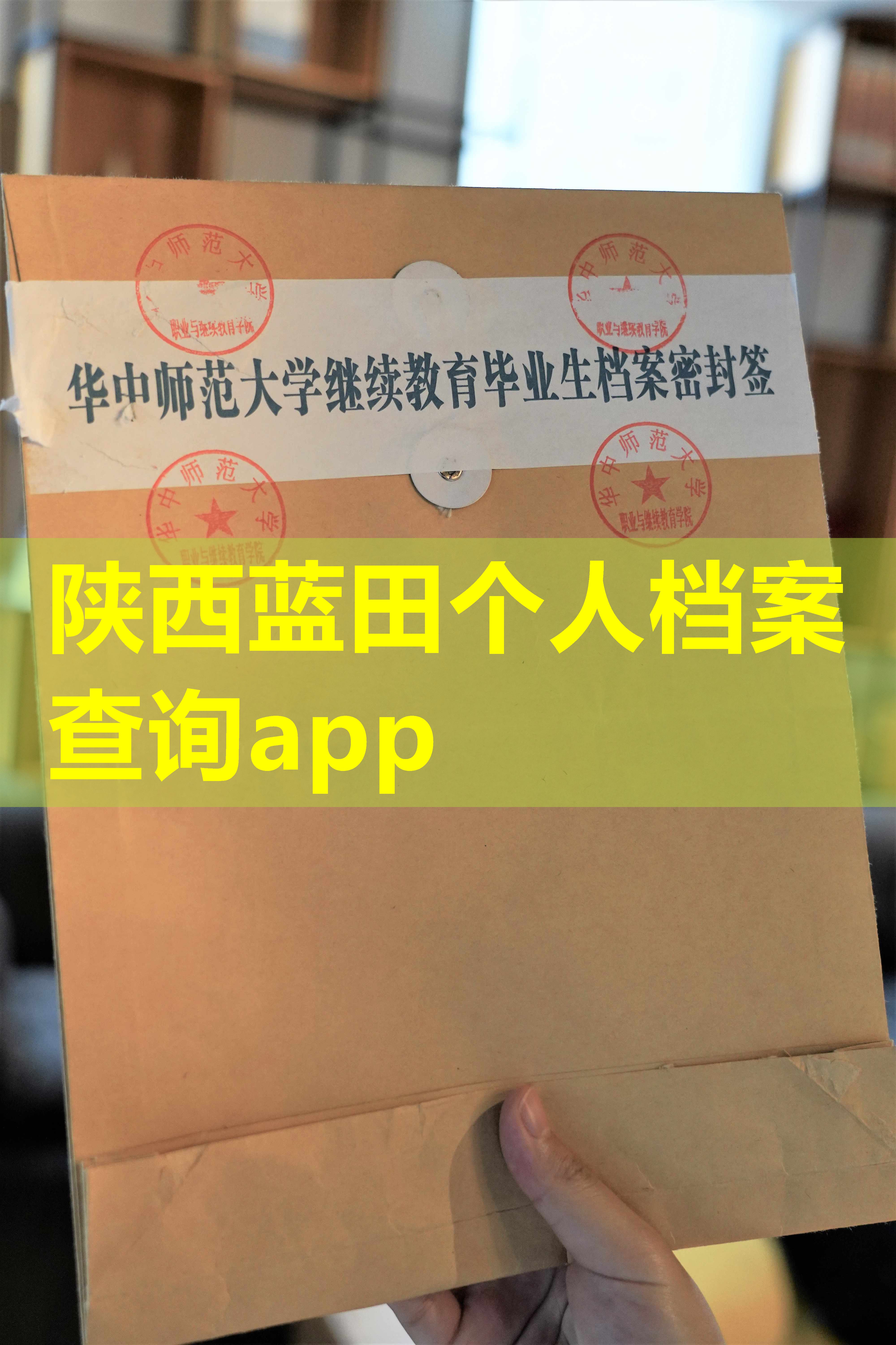 陕西蓝田个人档案查询app