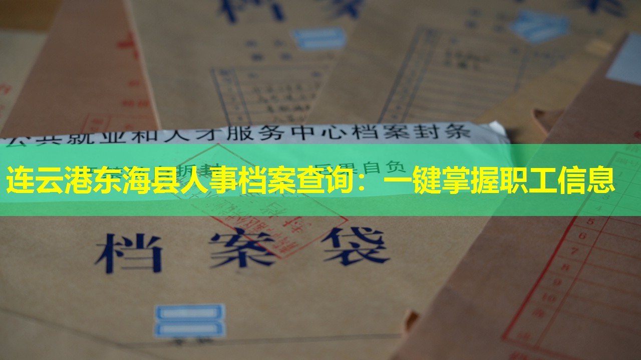 连云港东海县人事档案查询：一键掌握职工信息