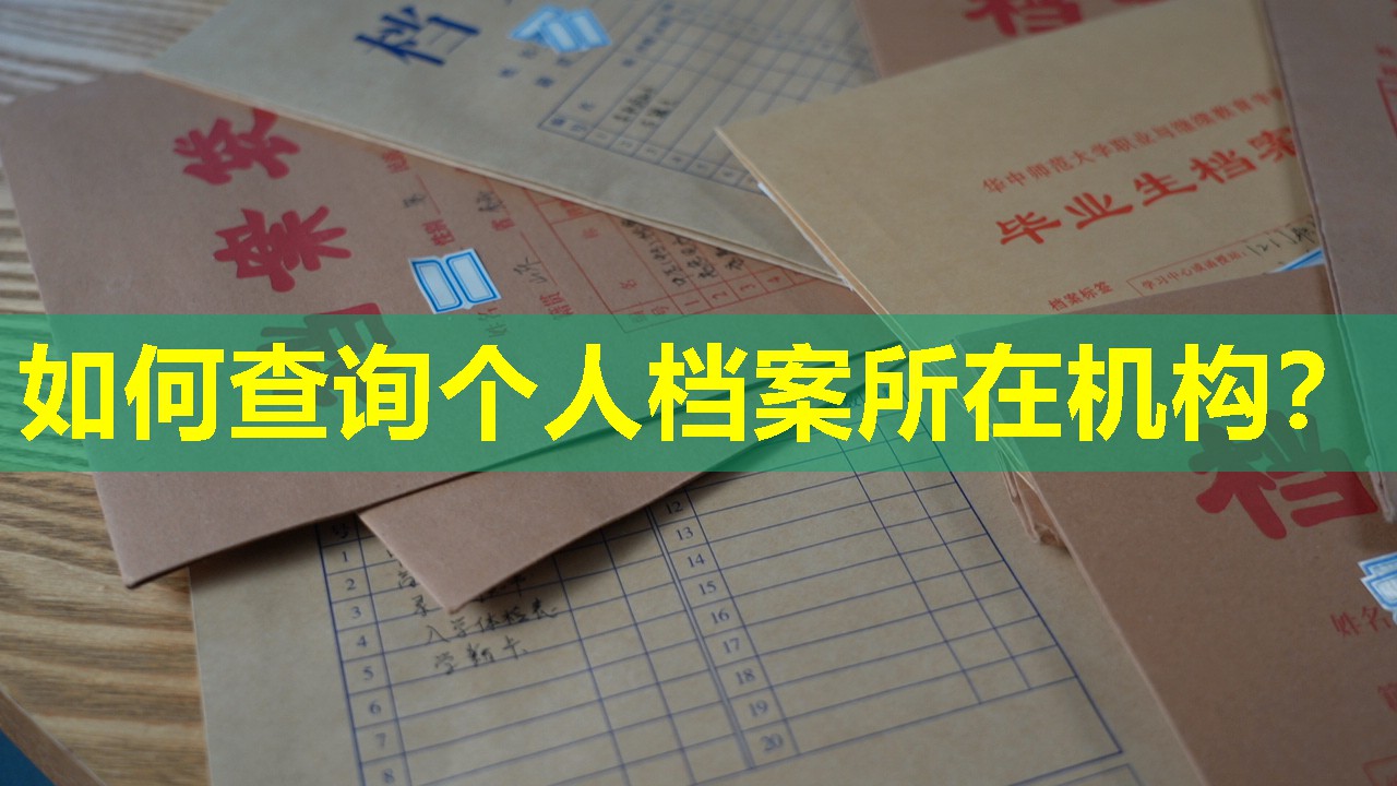 如何查询个人档案所在机构？