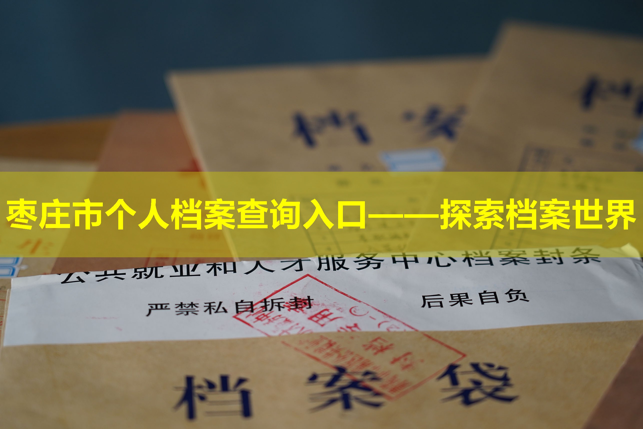 枣庄市个人档案查询入口——探索档案世界