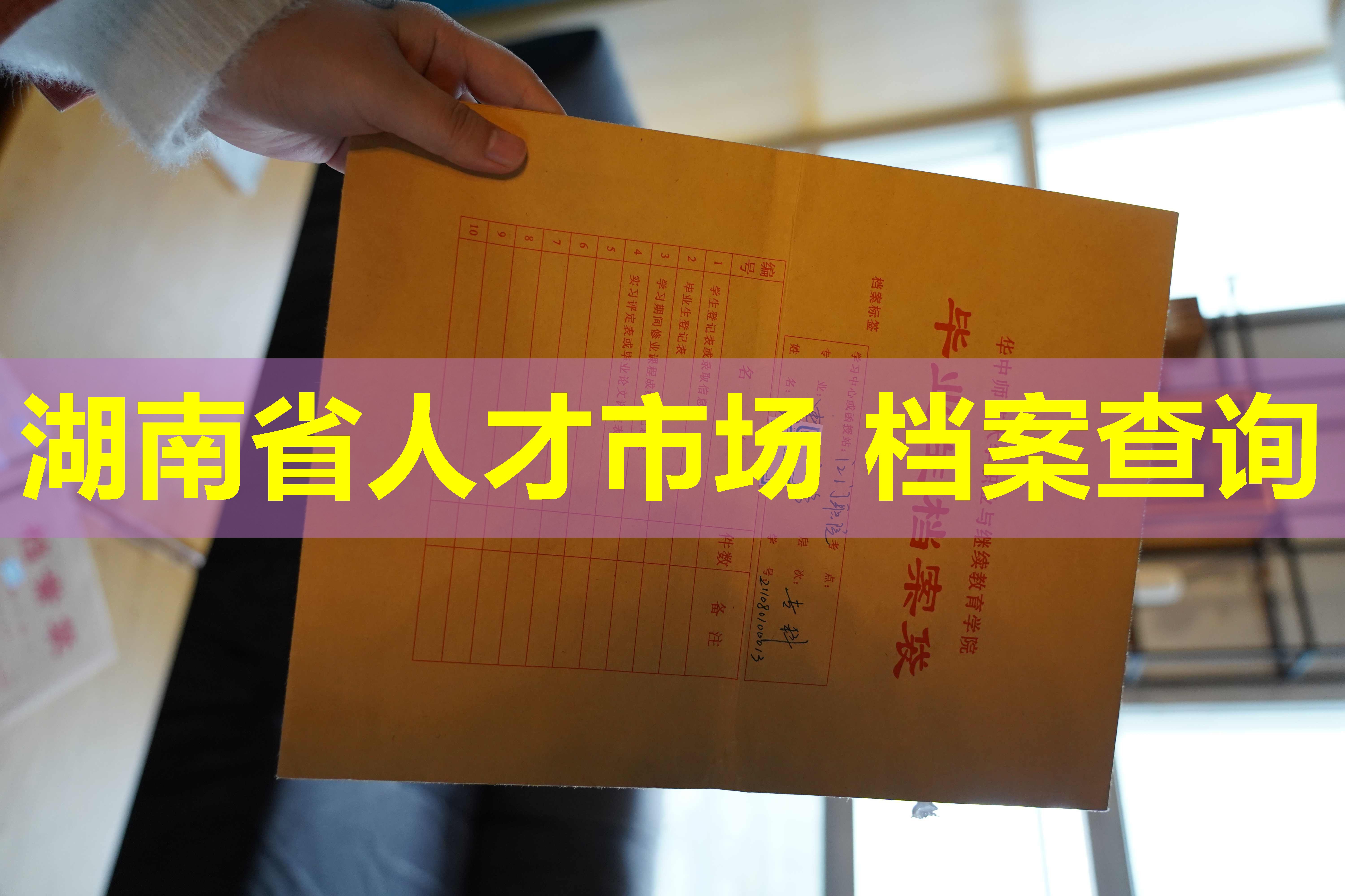 湖南省人才市场 档案查询