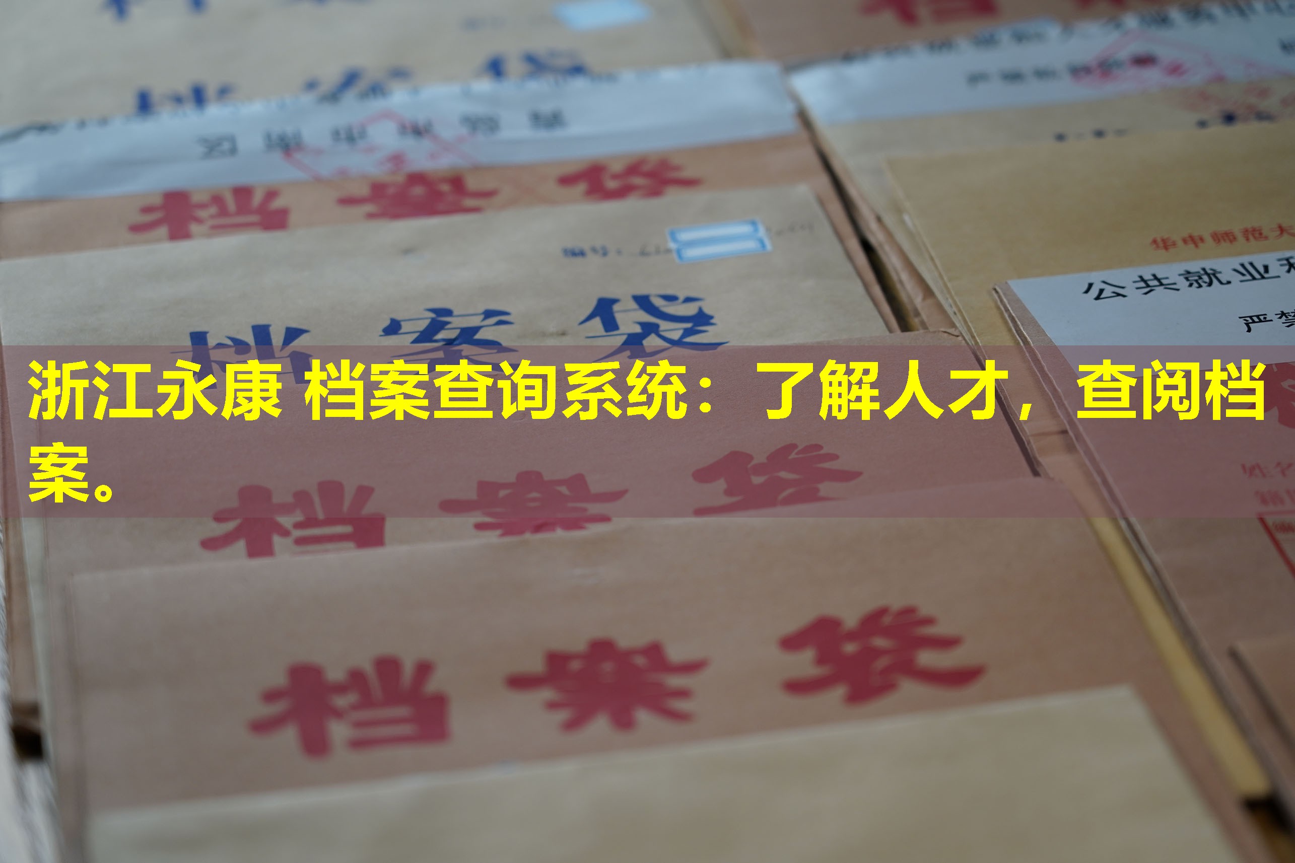 浙江永康 档案查询系统：了解人才，查阅档案。