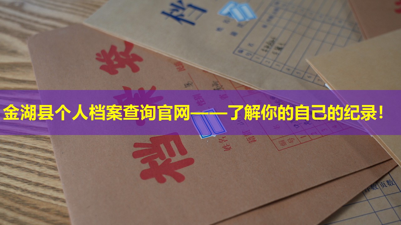 金湖县个人档案查询官网——了解你的自己的纪录！