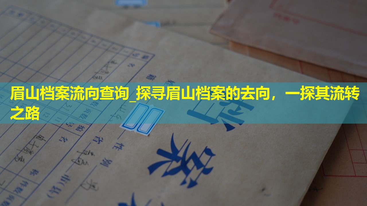 眉山档案流向查询_探寻眉山档案的去向，一探其流转之路
