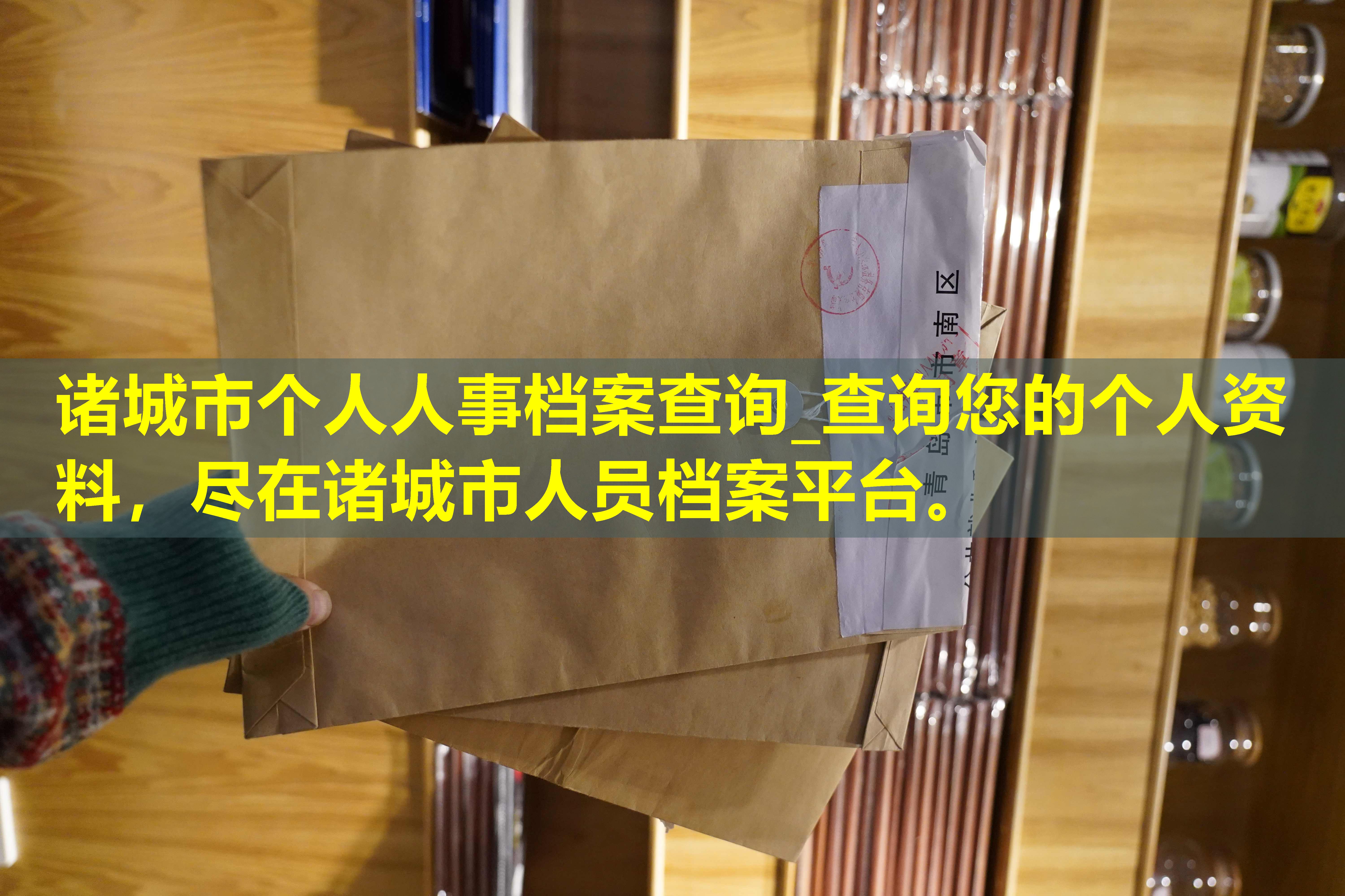 诸城市个人人事档案查询_查询您的个人资料，尽在诸城市人员档案平台。