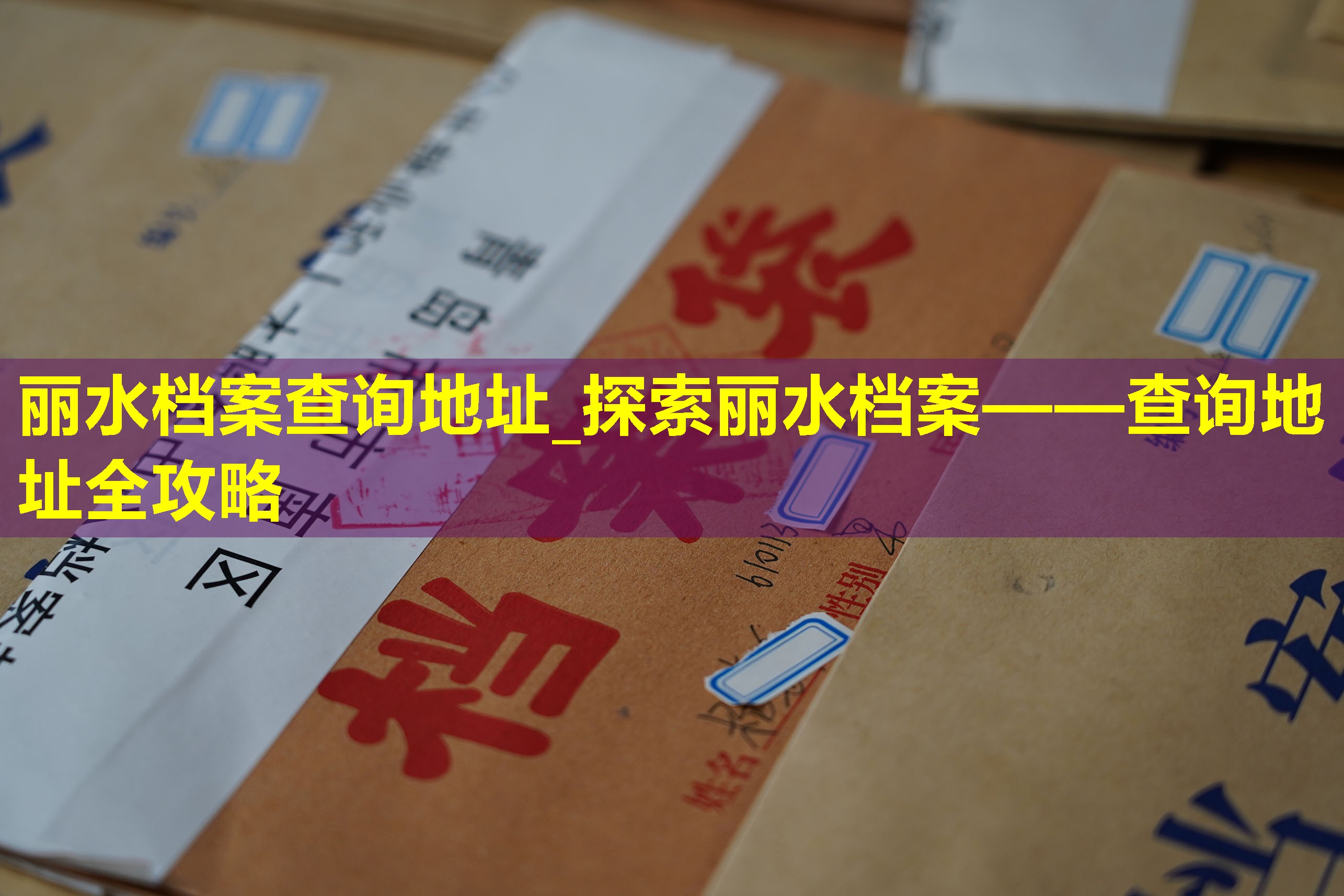 丽水档案查询地址_探索丽水档案——查询地址全攻略