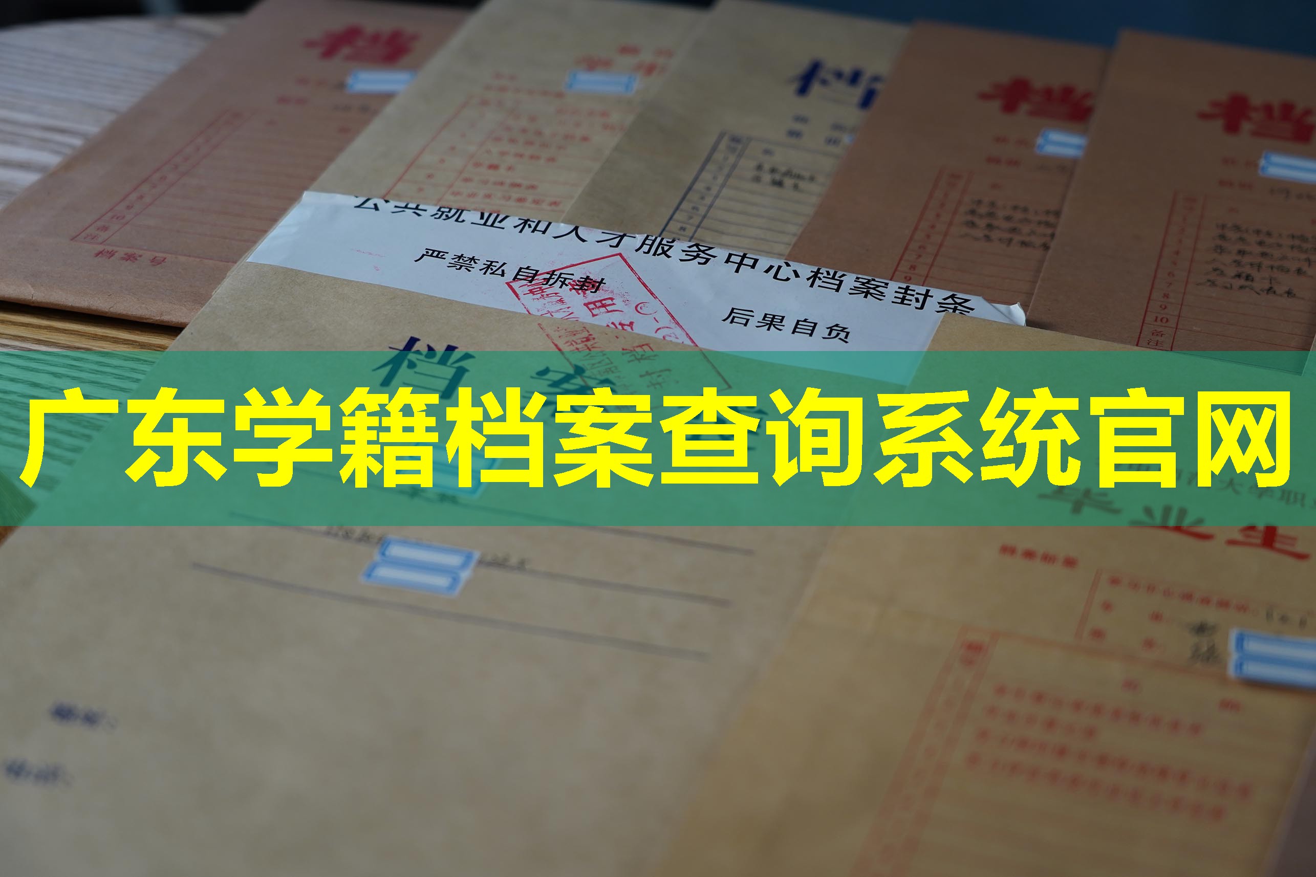 广东学籍档案查询系统官网