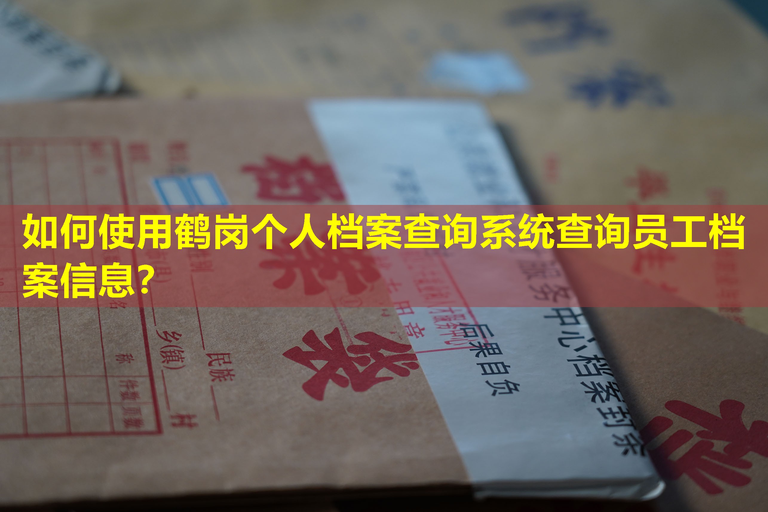 如何使用鹤岗个人档案查询系统查询员工档案信息？