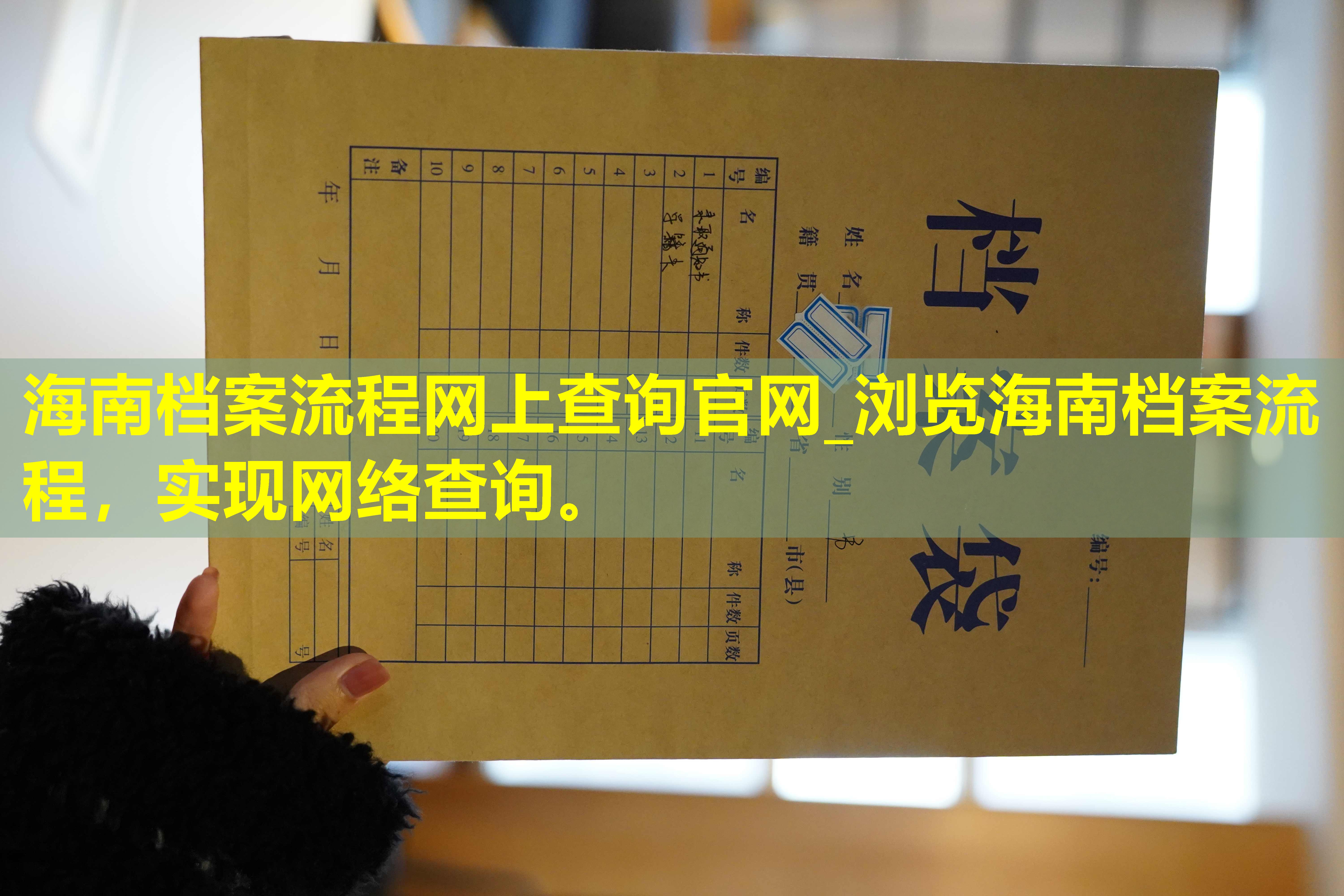 海南档案流程网上查询官网_浏览海南档案流程，实现网络查询。