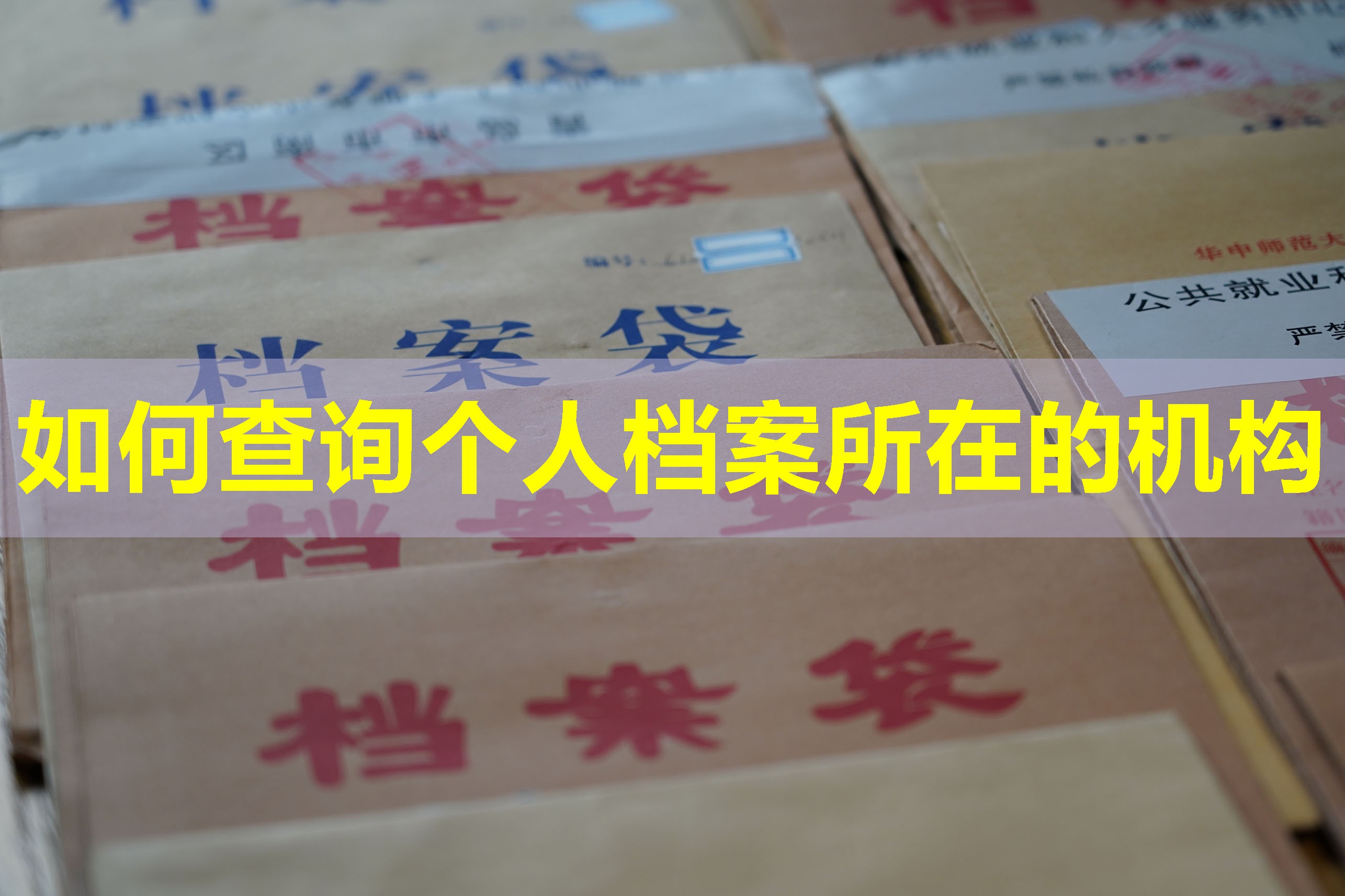 如何查询个人档案所在的机构