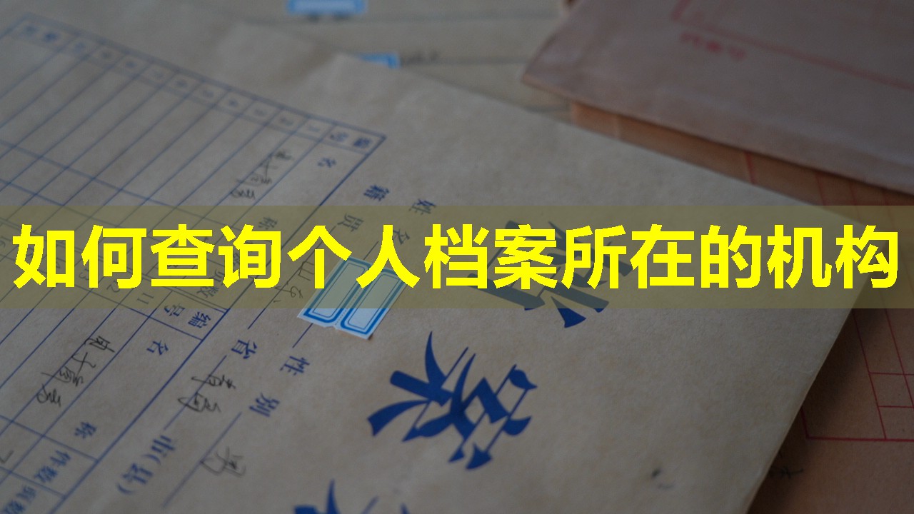 如何查询个人档案所在的机构