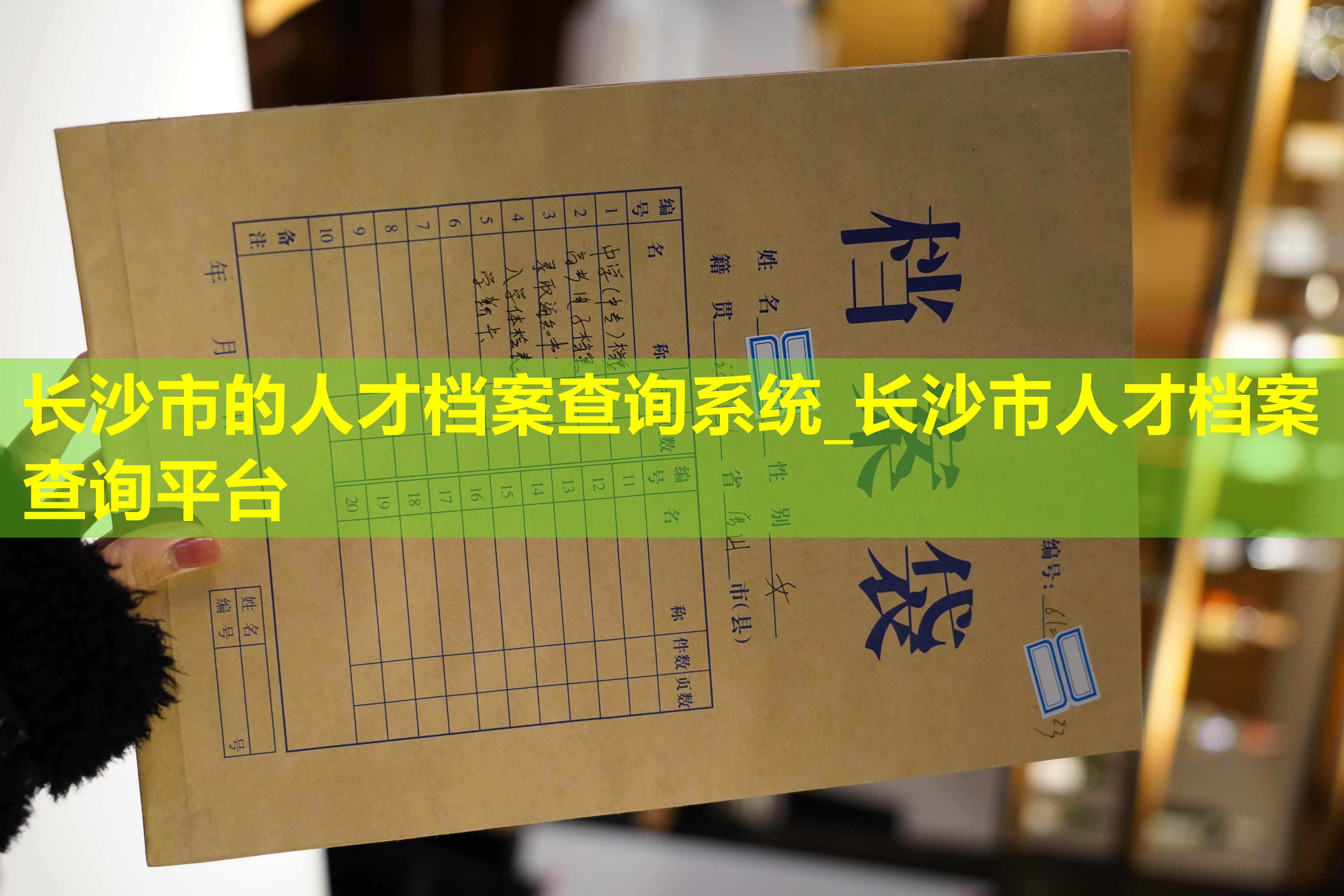 长沙市的人才档案查询系统_长沙市人才档案查询平台
