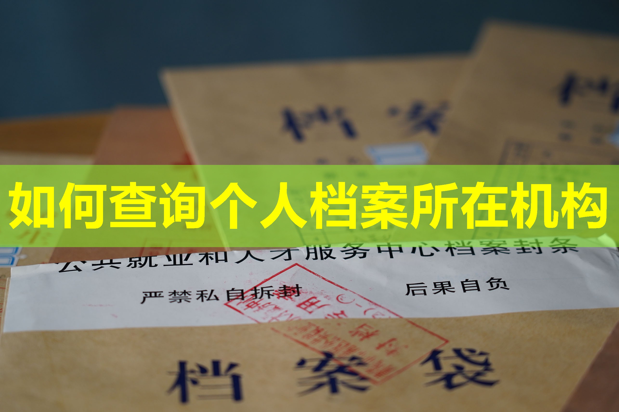 如何查询个人档案所在机构
