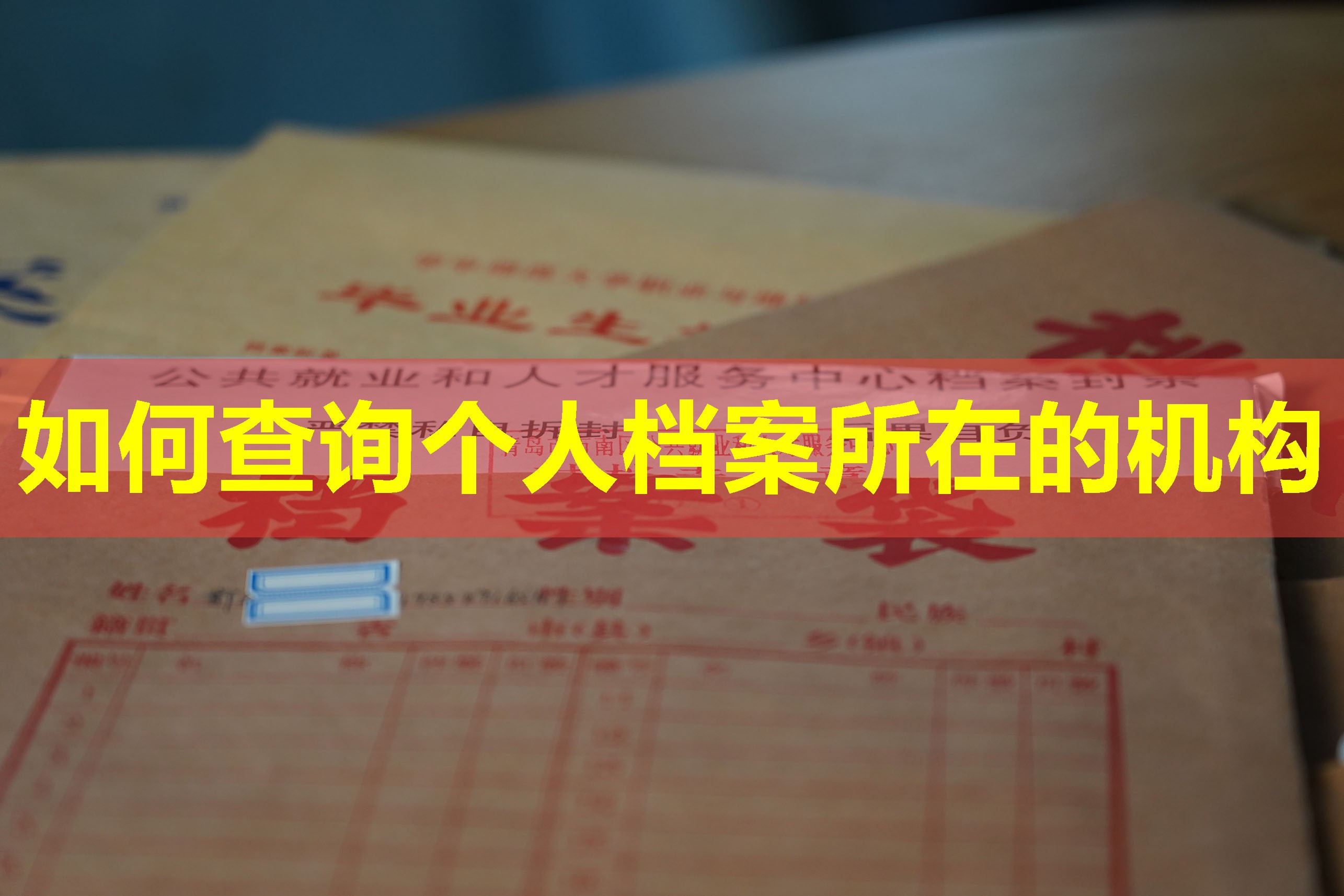 如何查询个人档案所在的机构