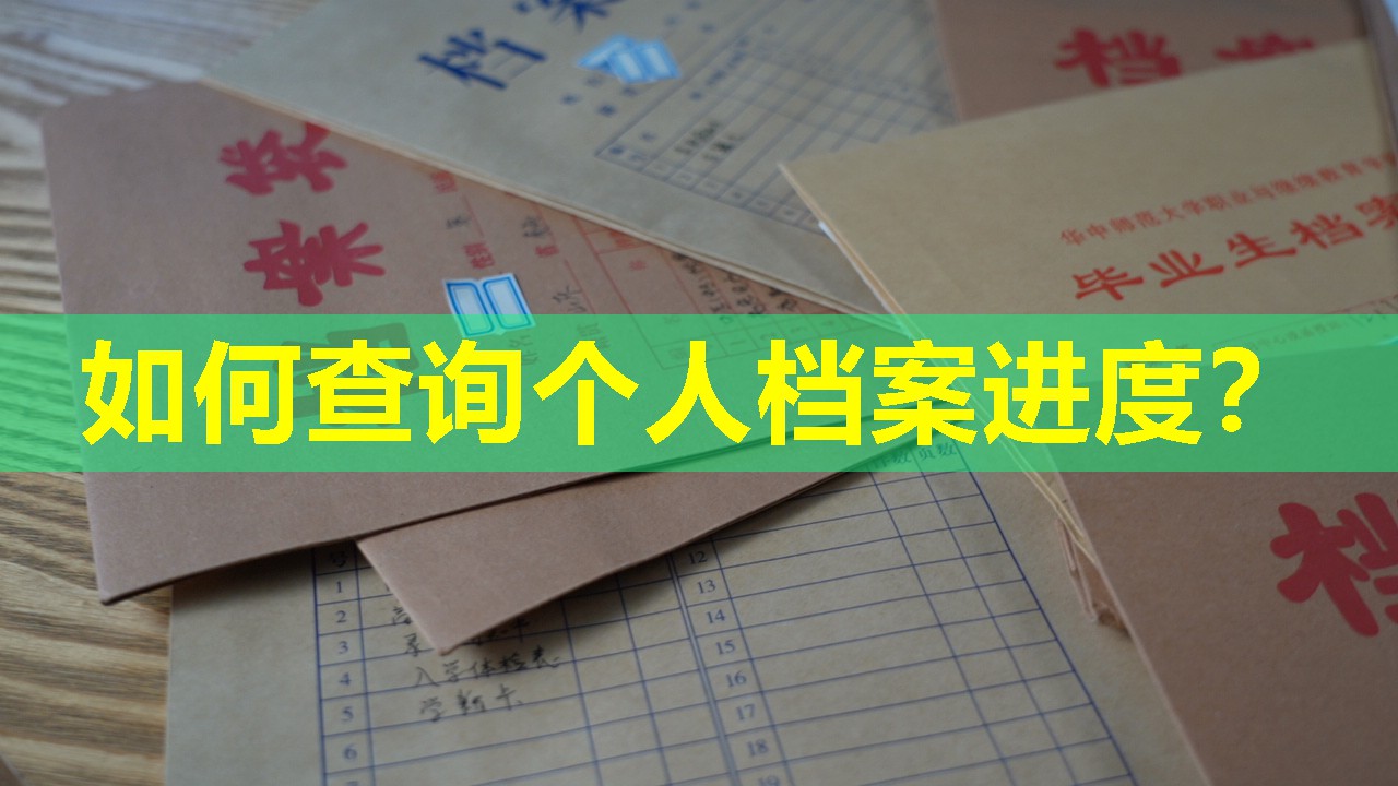 如何查询个人档案进度？