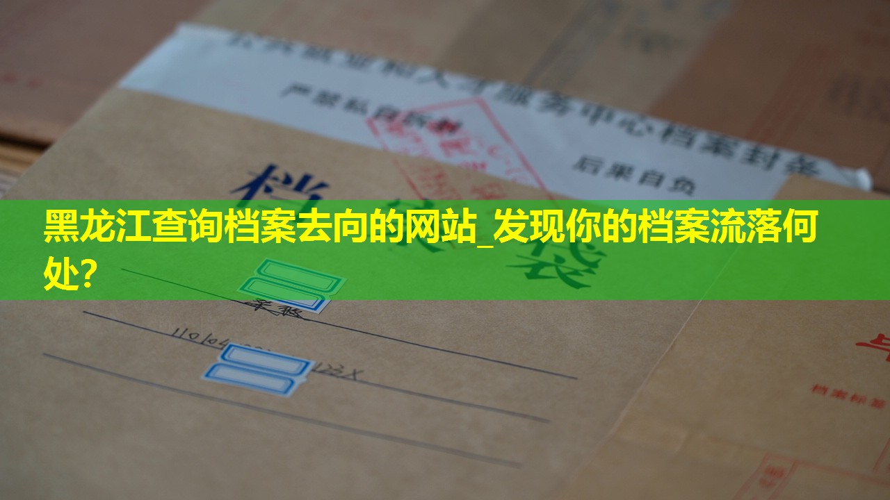 黑龙江查询档案去向的网站_发现你的档案流落何处？