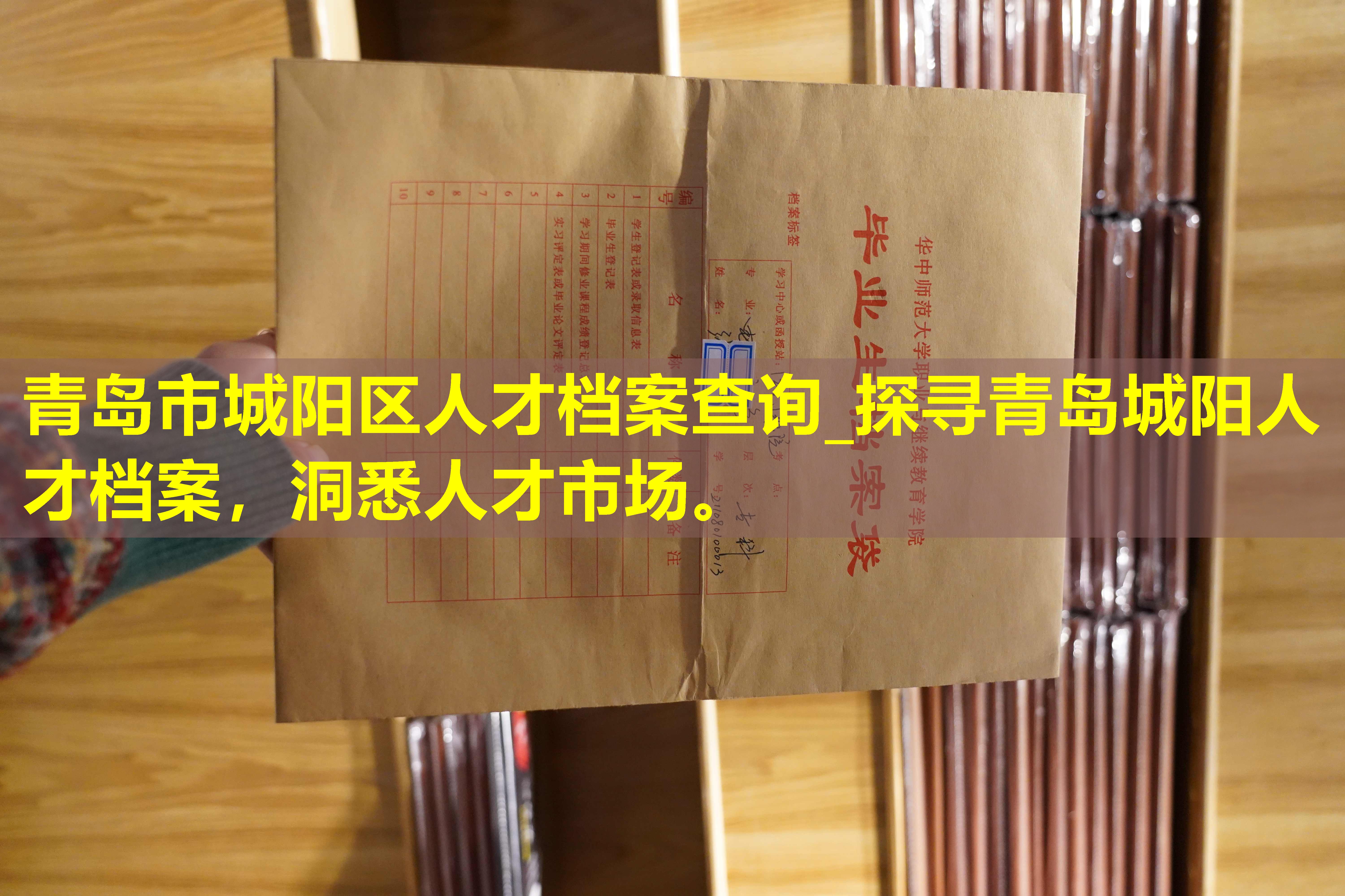 青岛市城阳区人才档案查询_探寻青岛城阳人才档案，洞悉人才市场。