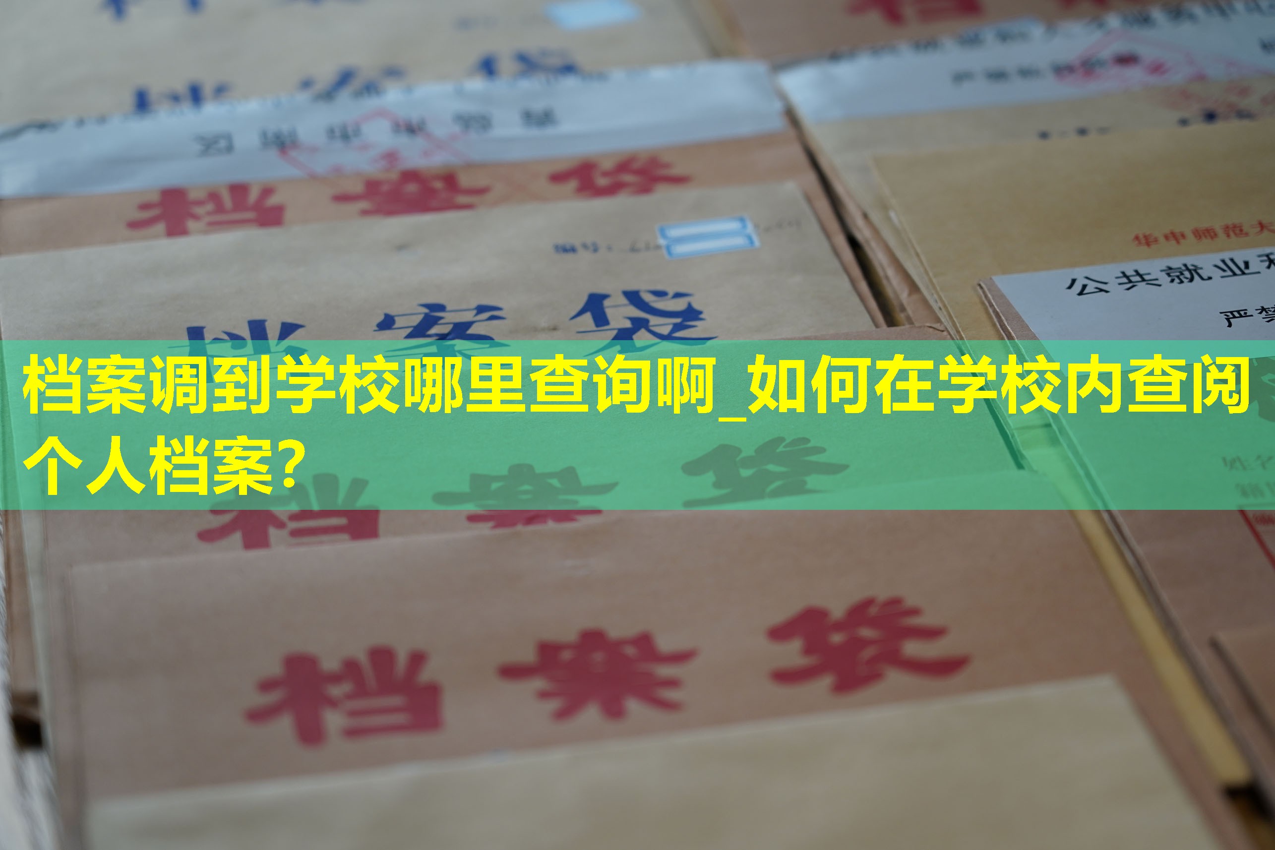 档案调到学校哪里查询啊_如何在学校内查阅个人档案？