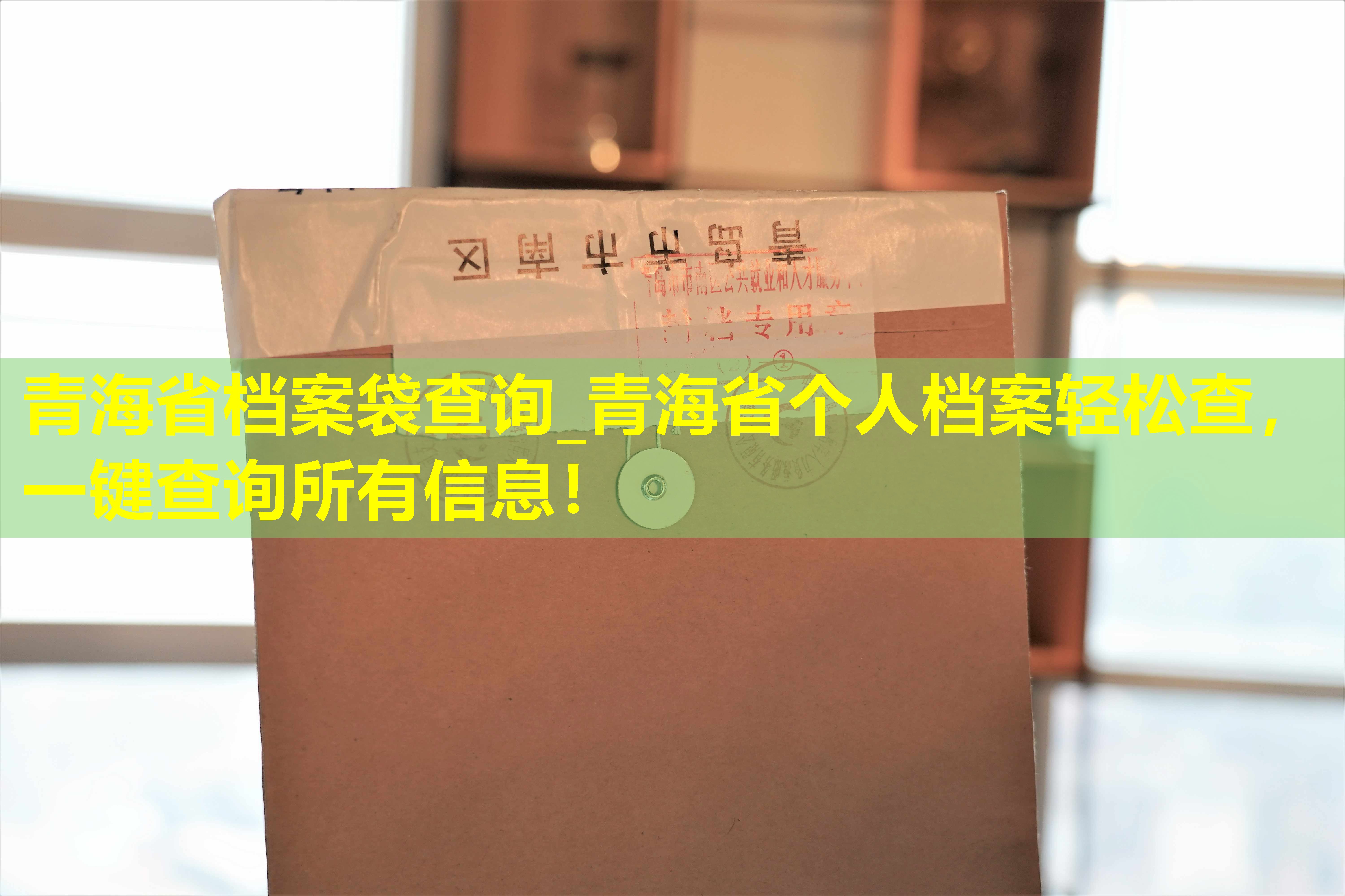 青海省档案袋查询_青海省个人档案轻松查，一键查询所有信息！