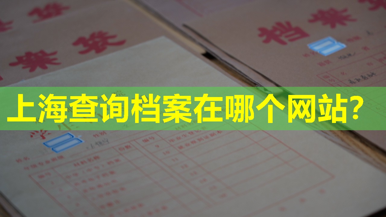 上海查询档案在哪个网站？