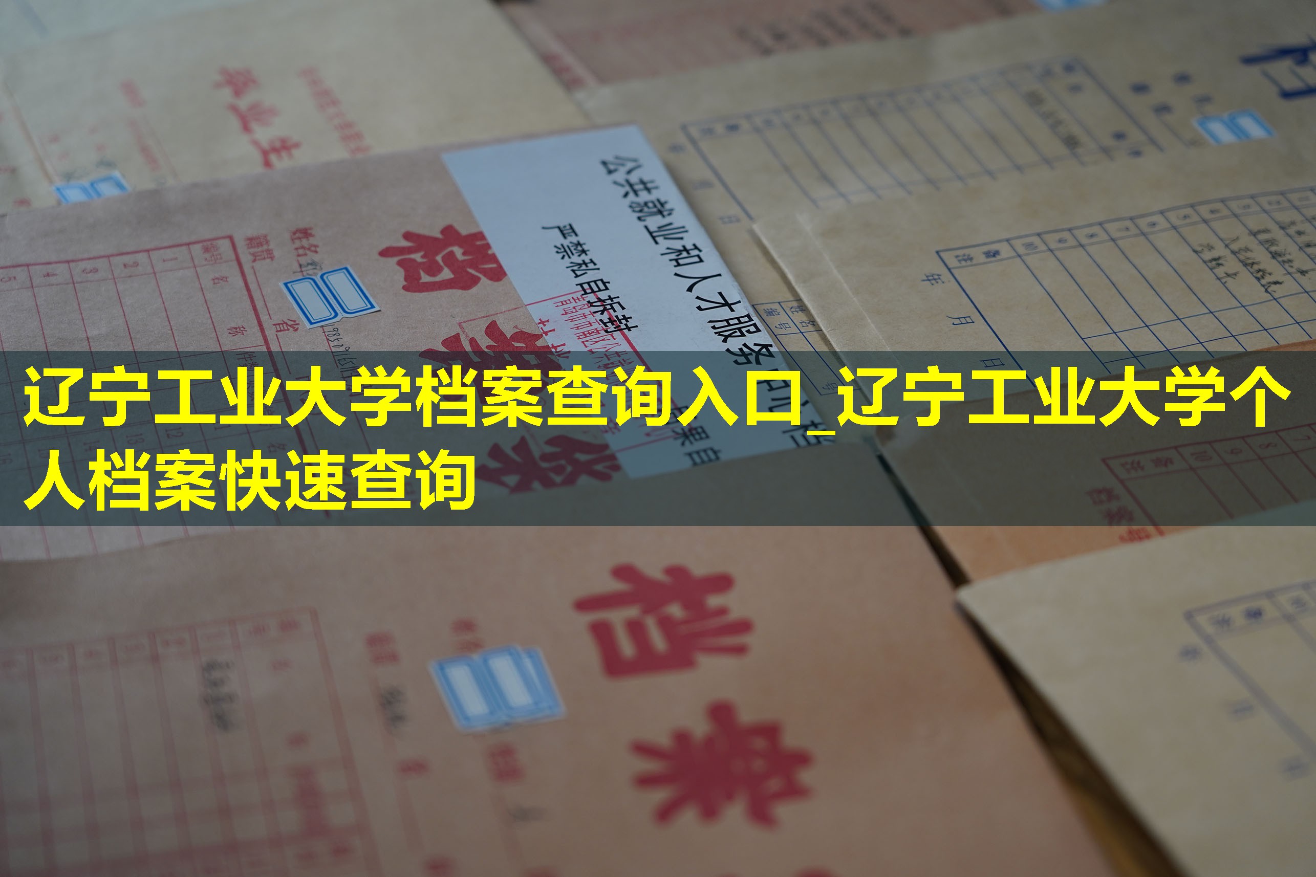 辽宁工业大学档案查询入口_辽宁工业大学个人档案快速查询