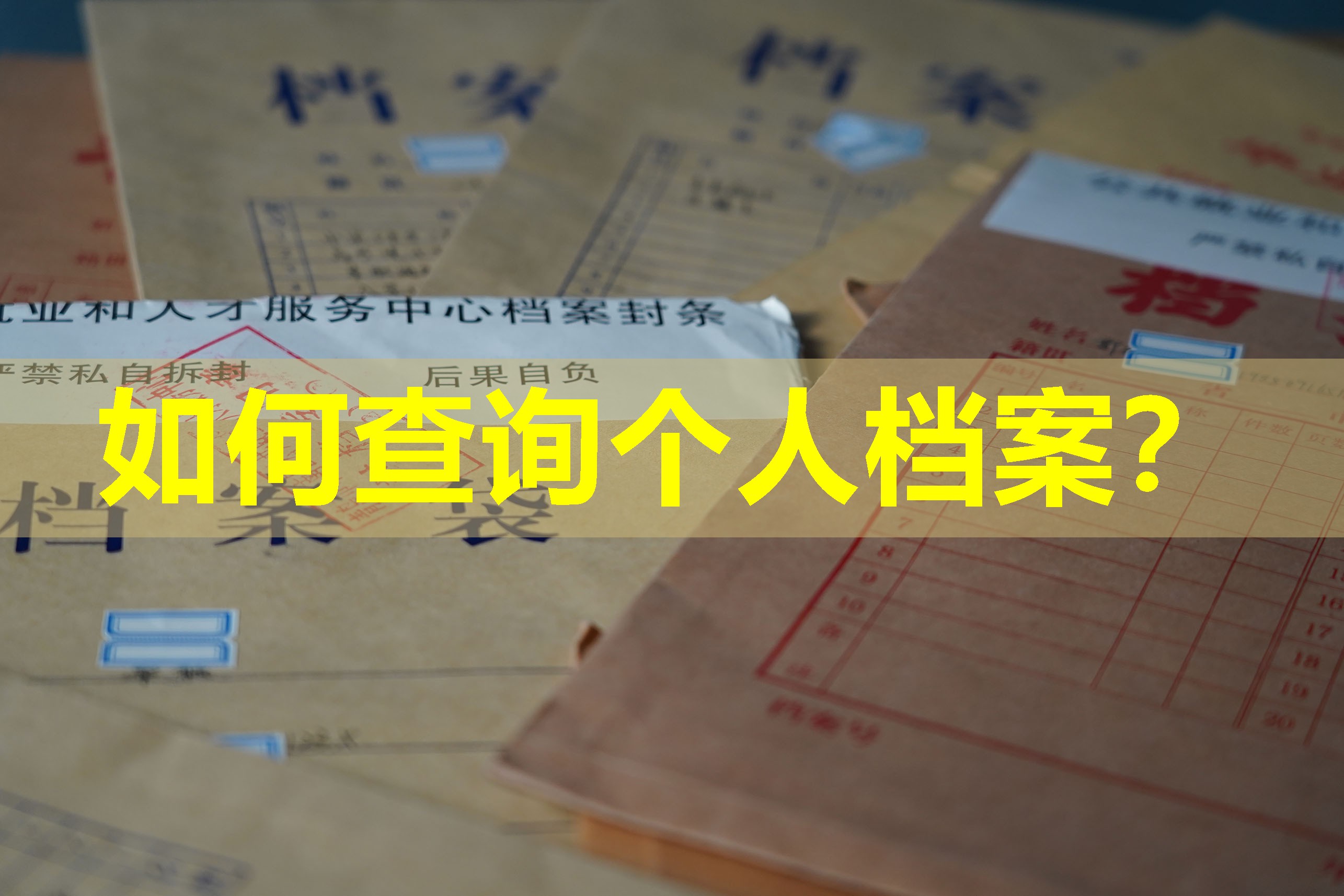 如何查询个人档案？