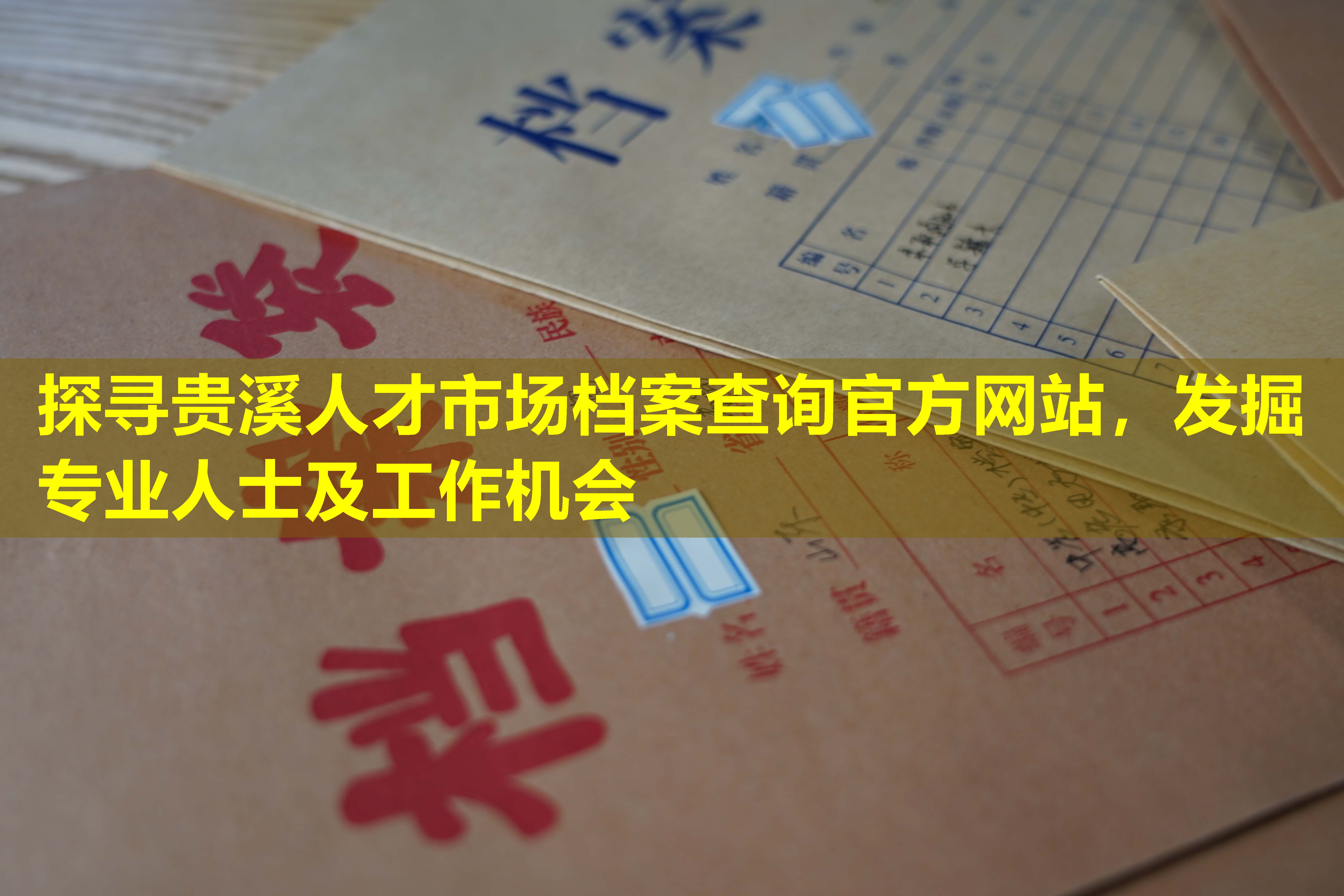 探寻贵溪人才市场档案查询官方网站，发掘专业人士及工作机会