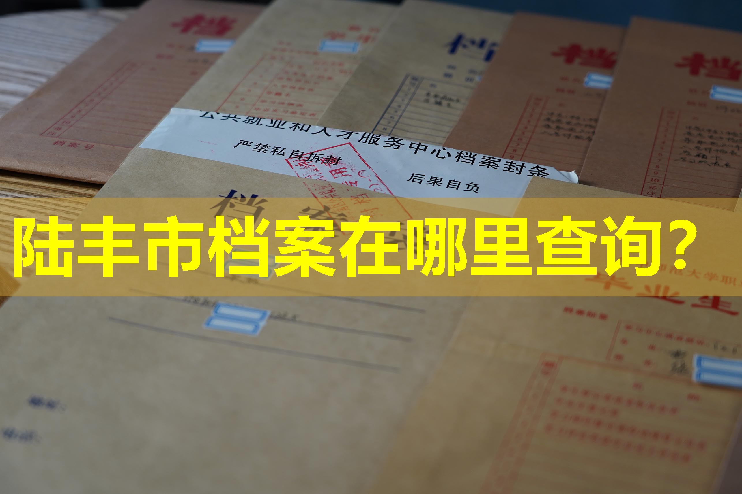 陆丰市档案在哪里查询？