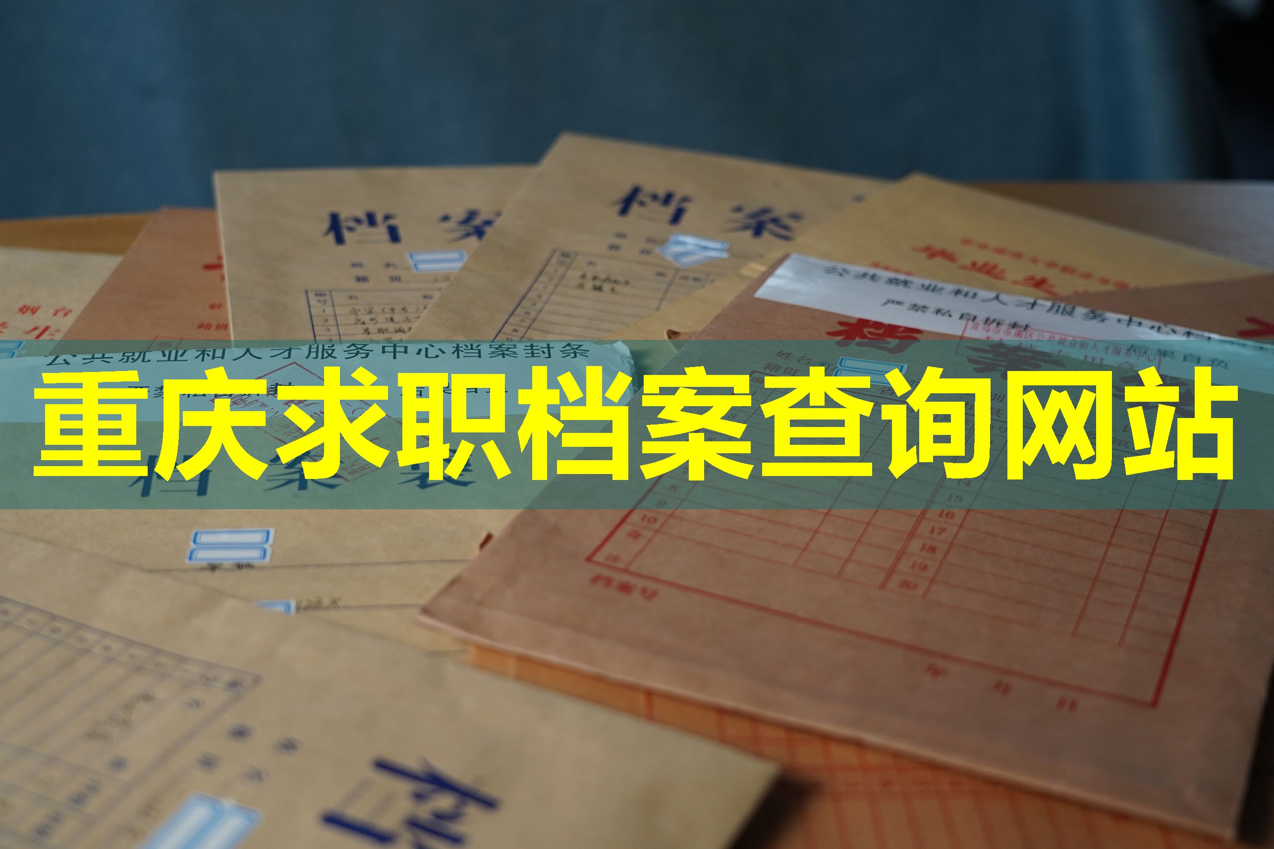 重庆求职档案查询网站