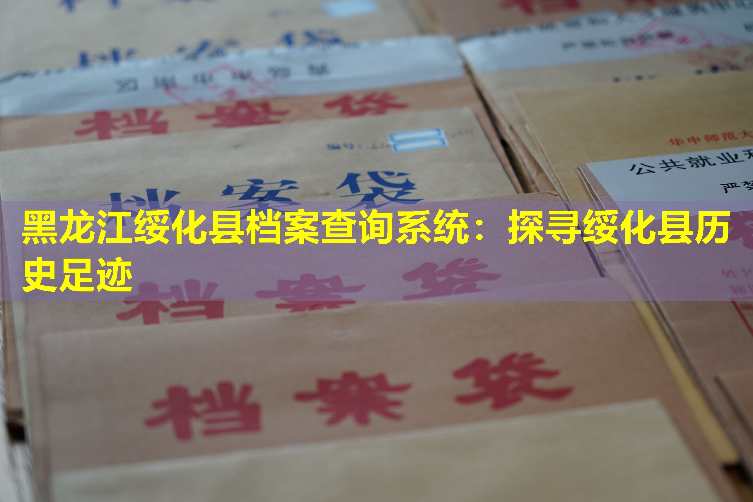 黑龙江绥化县档案查询系统：探寻绥化县历史足迹