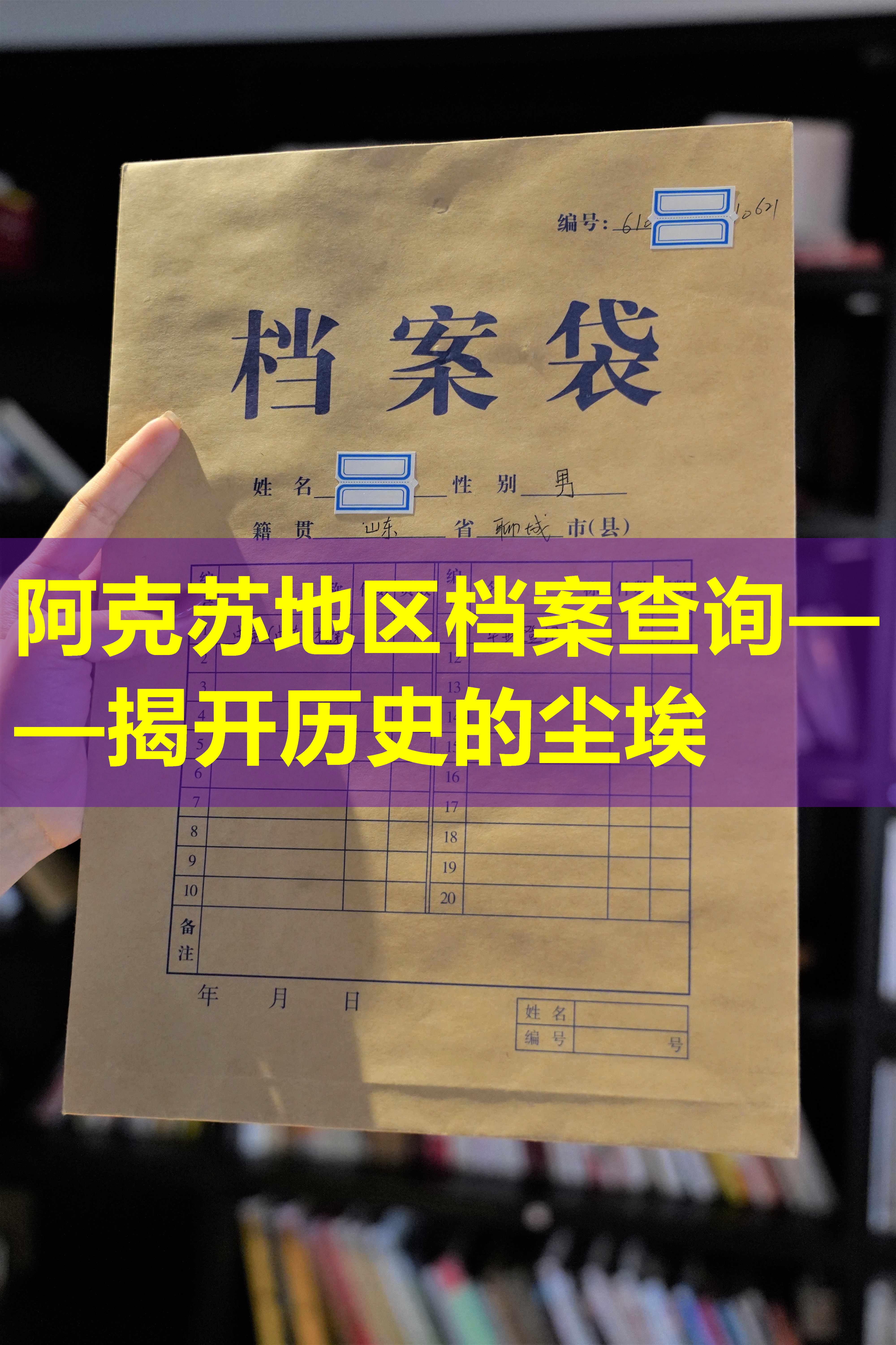 阿克苏地区档案查询——揭开历史的尘埃