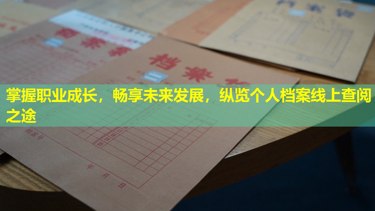 掌握职业成长，畅享未来发展，纵览个人档案线上查阅之途