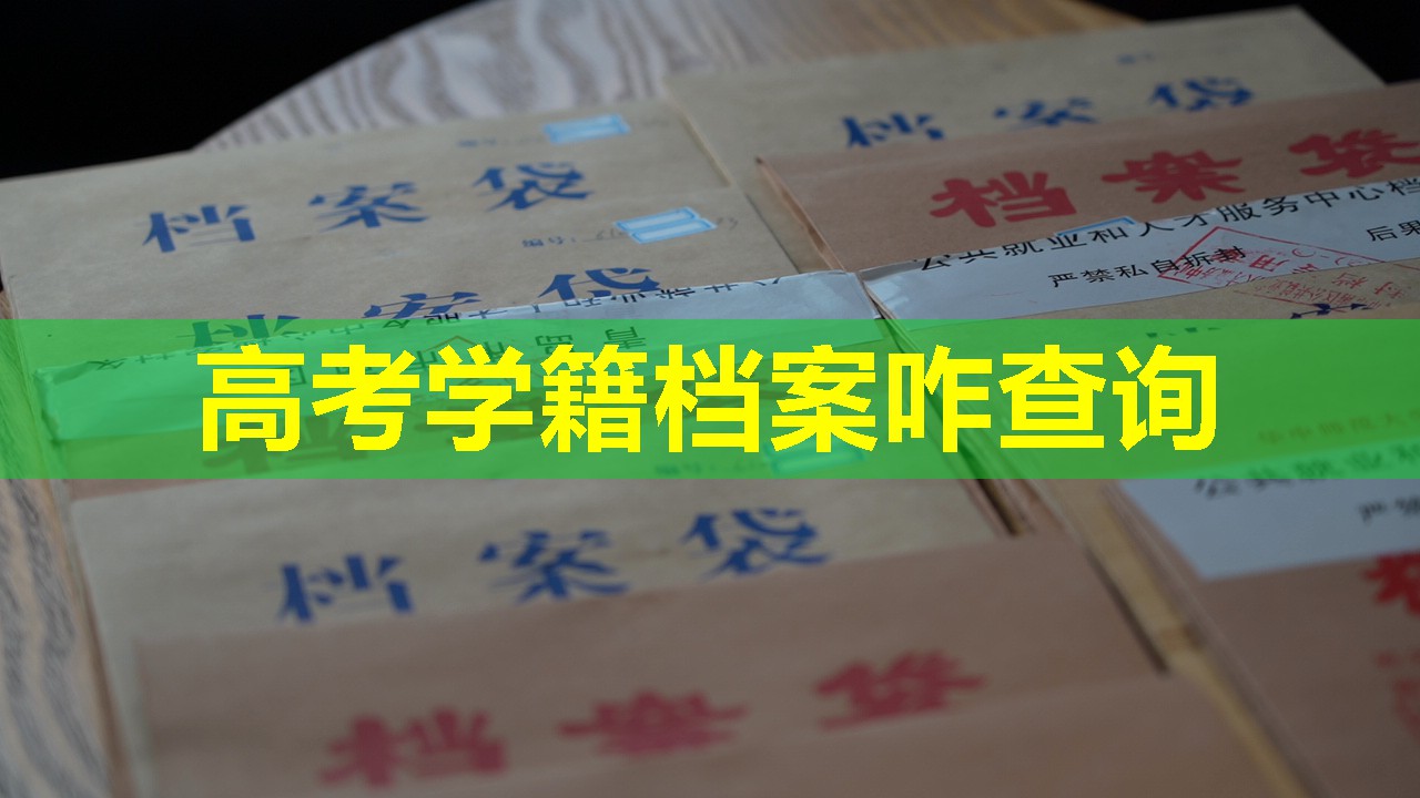 高考学籍档案咋查询