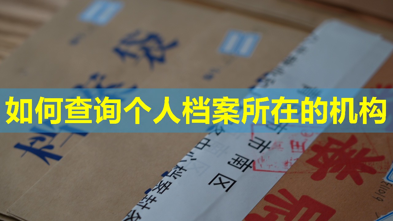 如何查询个人档案所在的机构