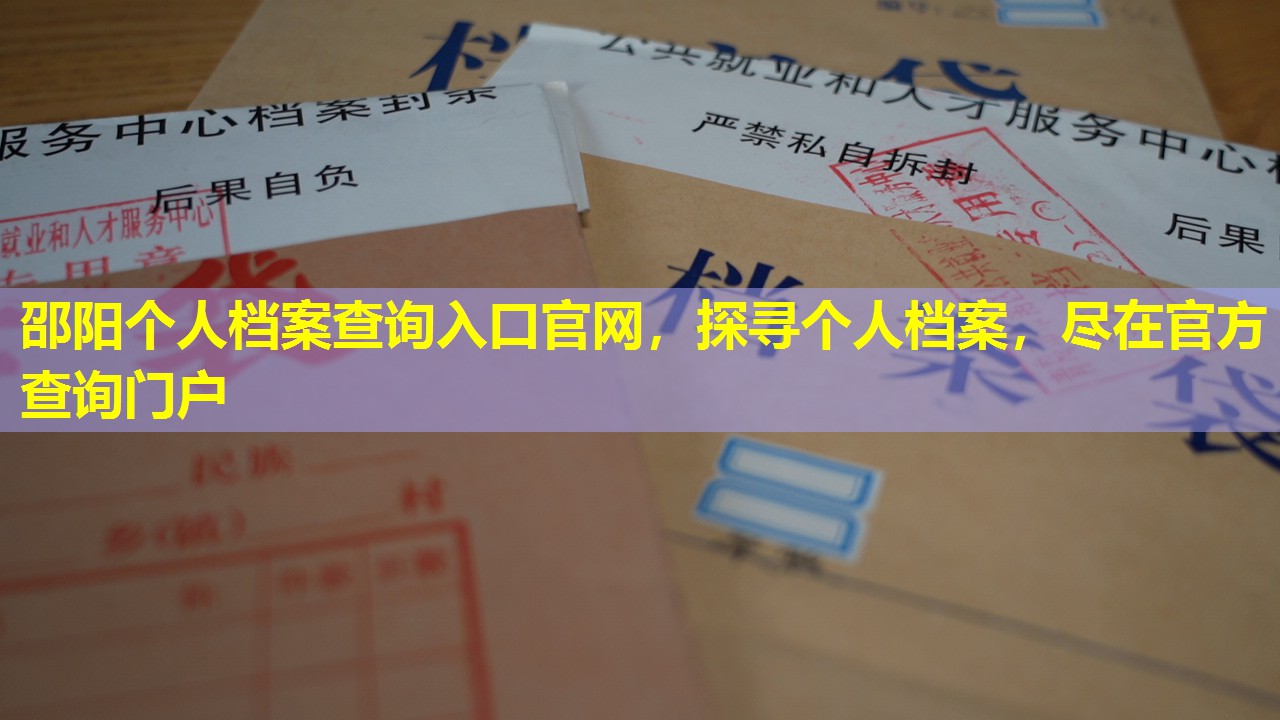 邵阳个人档案查询入口官网，探寻个人档案，尽在官方查询门户