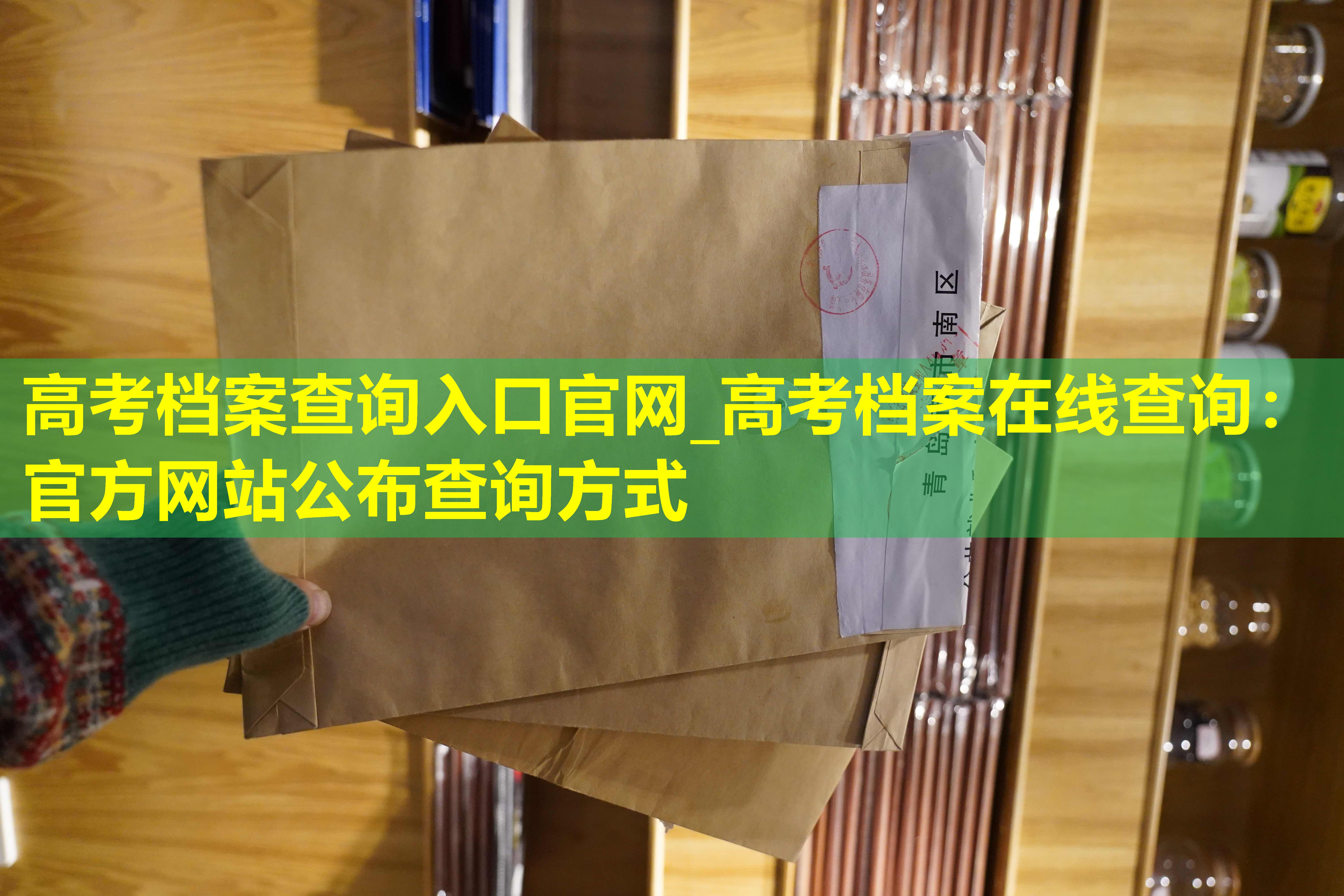 高考档案查询入口官网_高考档案在线查询：官方网站公布查询方式