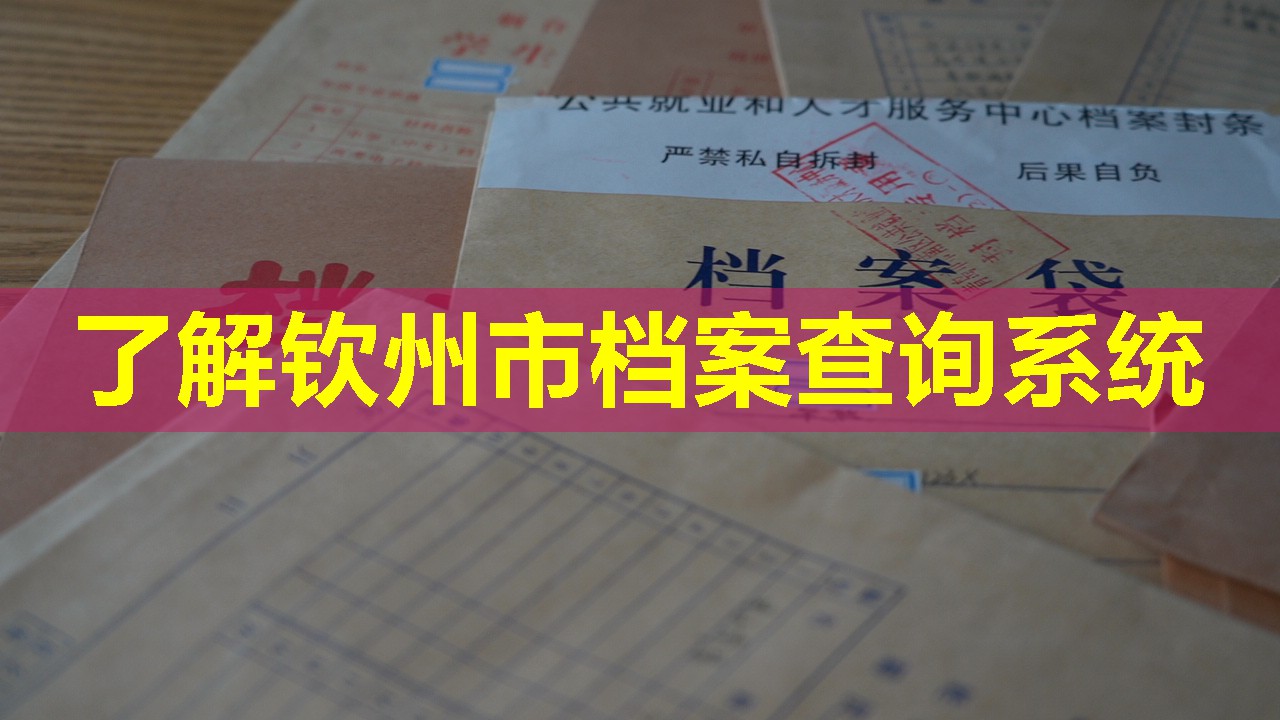 了解钦州市档案查询系统