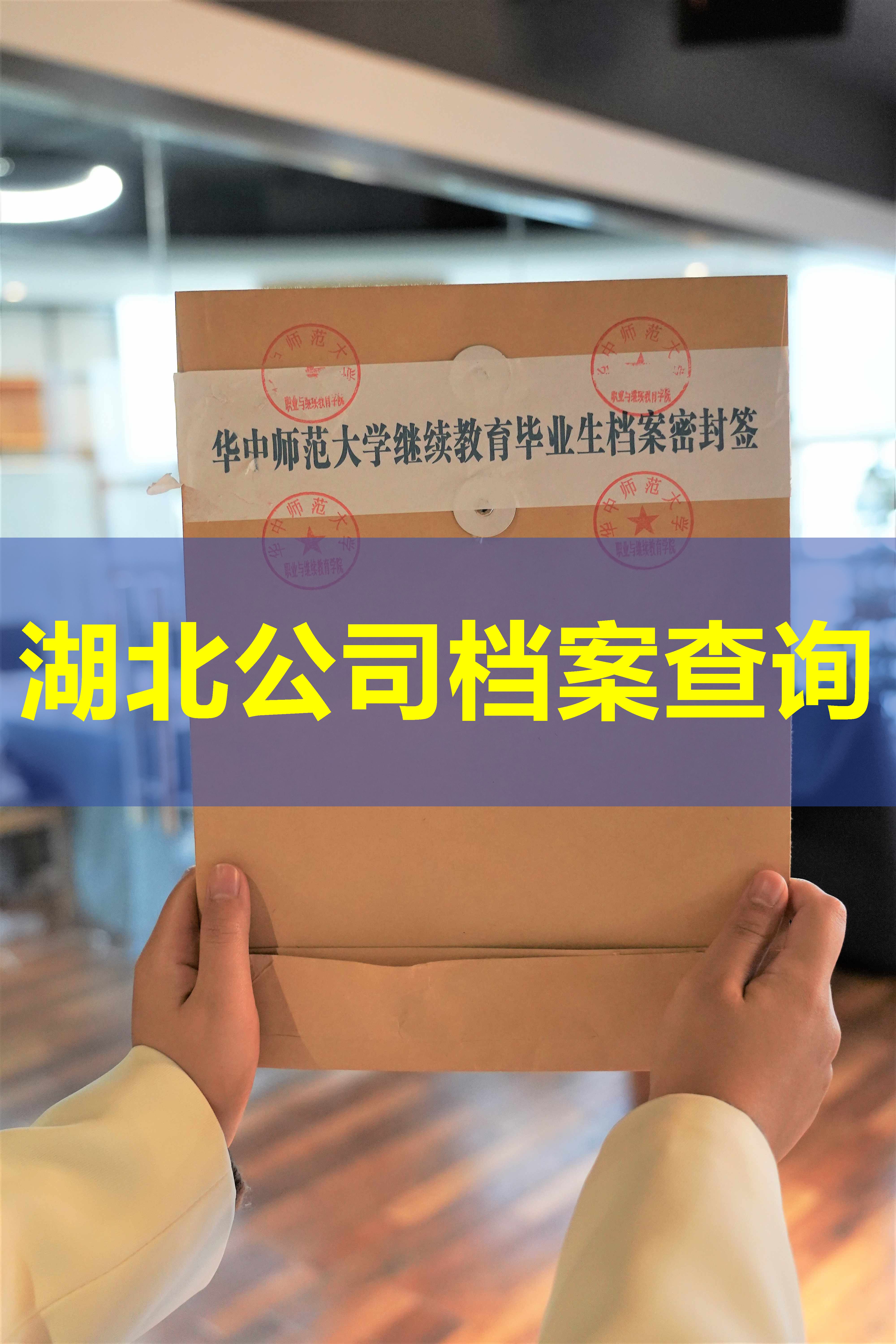 湖北公司档案查询