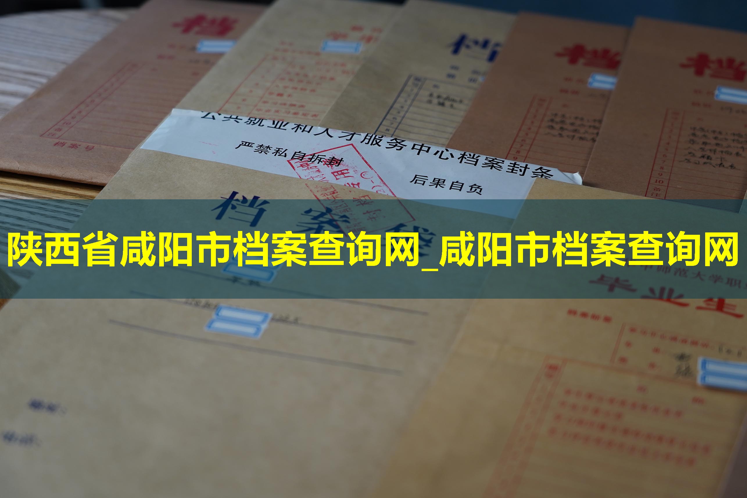 陕西省咸阳市档案查询网_咸阳市档案查询网