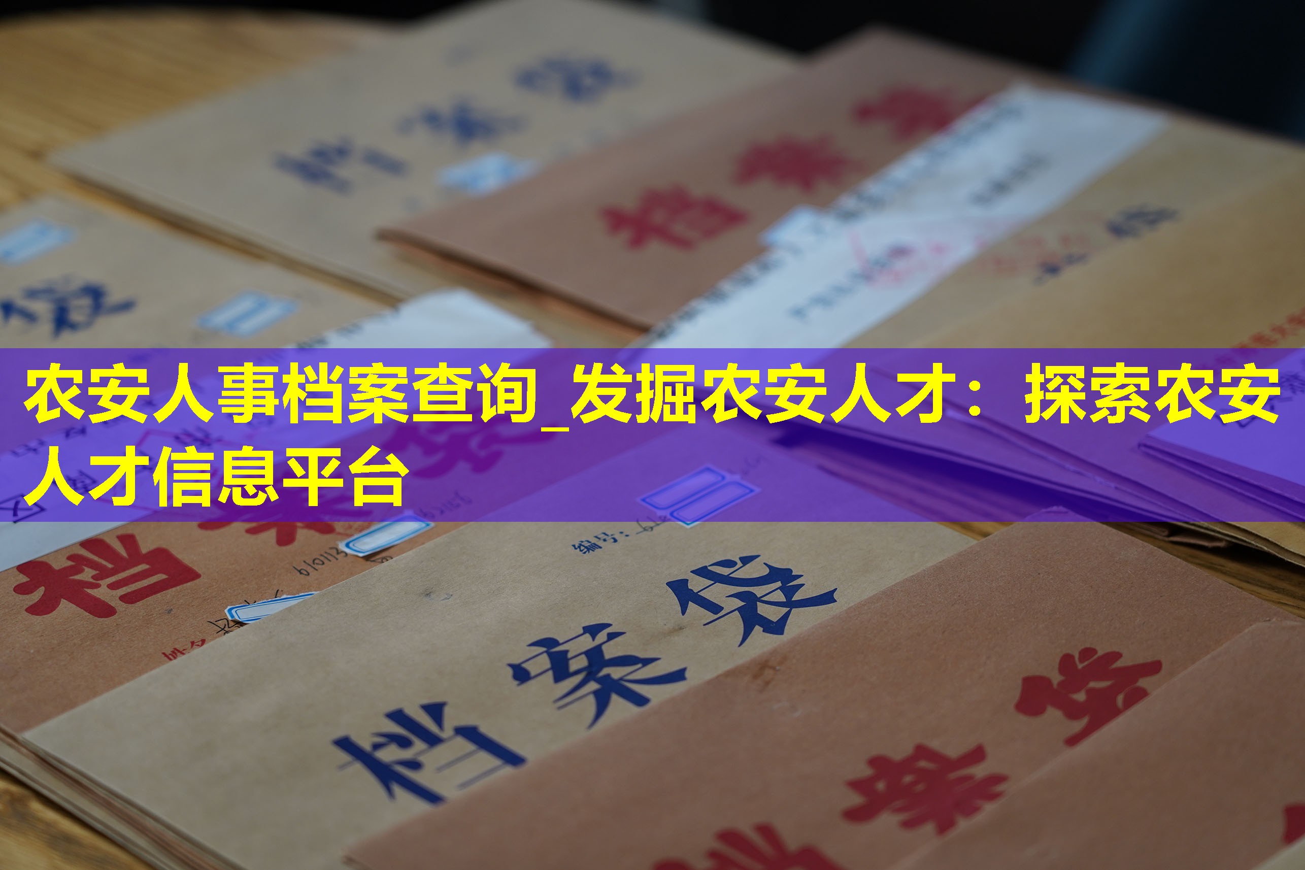 农安人事档案查询_发掘农安人才：探索农安人才信息平台